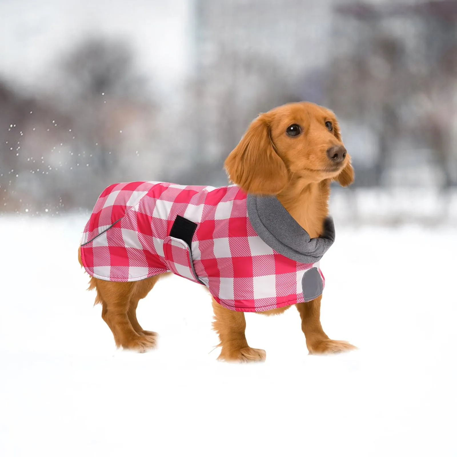 MOREZI Giacca Calda Per Cani Teckel, Abbigliamento Invernale Caldo Per Cani - immagine 6