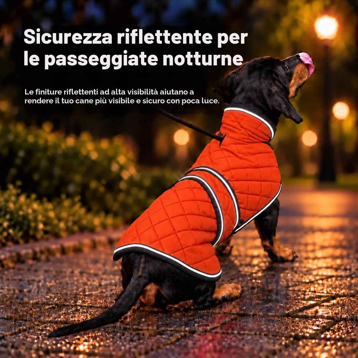 Morezi Cappotto per Bassotto, Cappotto Invernale per Cani con Fodera Imbottita in Pile, Abbigliamento per Cani All'aperto con Fasce Regolabili - Arancione - S - immagine 4