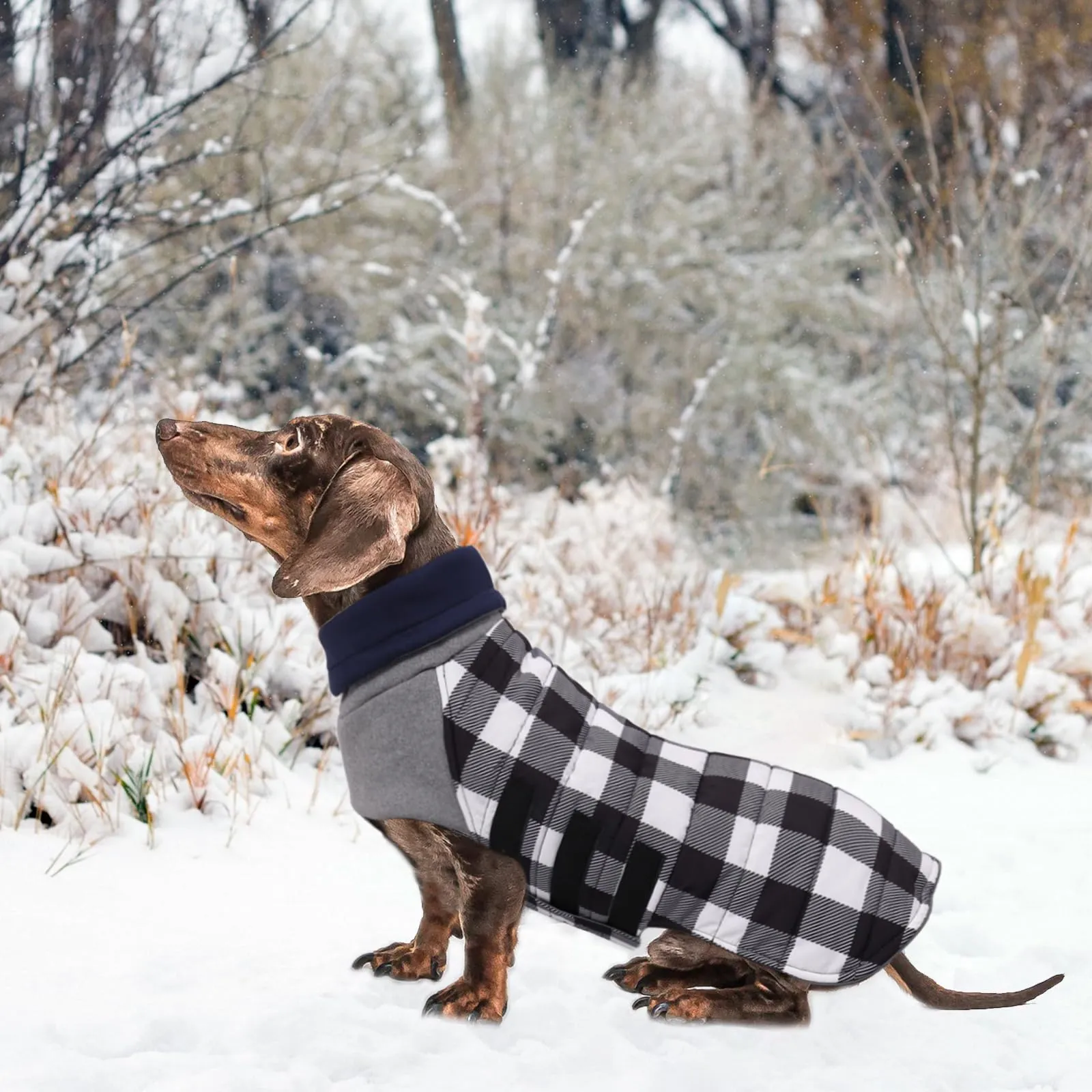 Geyecete Impermeabile Cappotto Bassotto cane,Giacca invernale per bassotto,Regolabile Caldo pullover per Cani,Collo Alto Cappotto da cucciolo,Stile Quadri Inglese-Bianco Quadri-S - immagine 5