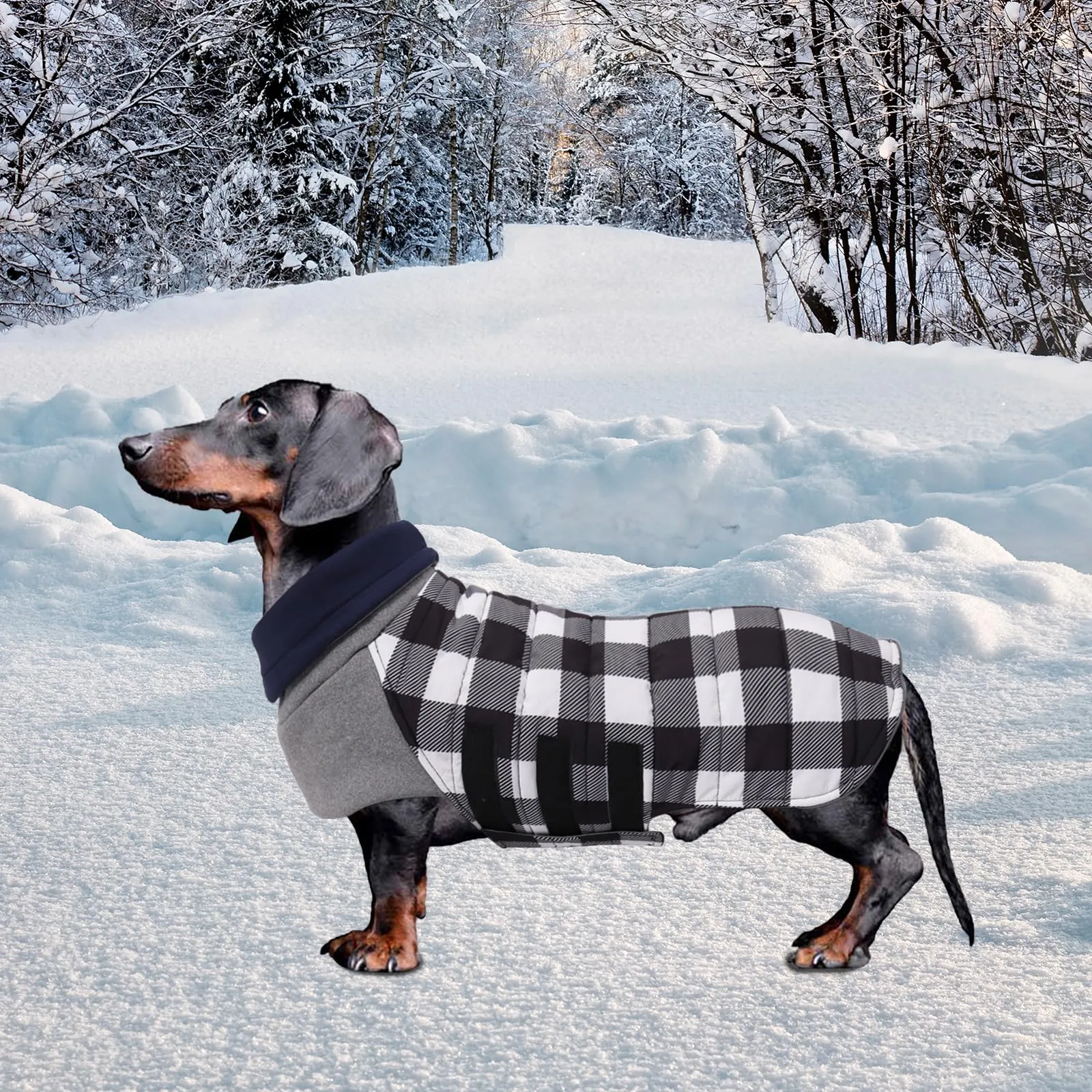 Geyecete Impermeabile Cappotto Bassotto cane,Giacca invernale per bassotto,Regolabile Caldo pullover per Cani,Collo Alto Cappotto da cucciolo,Stile Quadri Inglese-Bianco Quadri-S - immagine 6