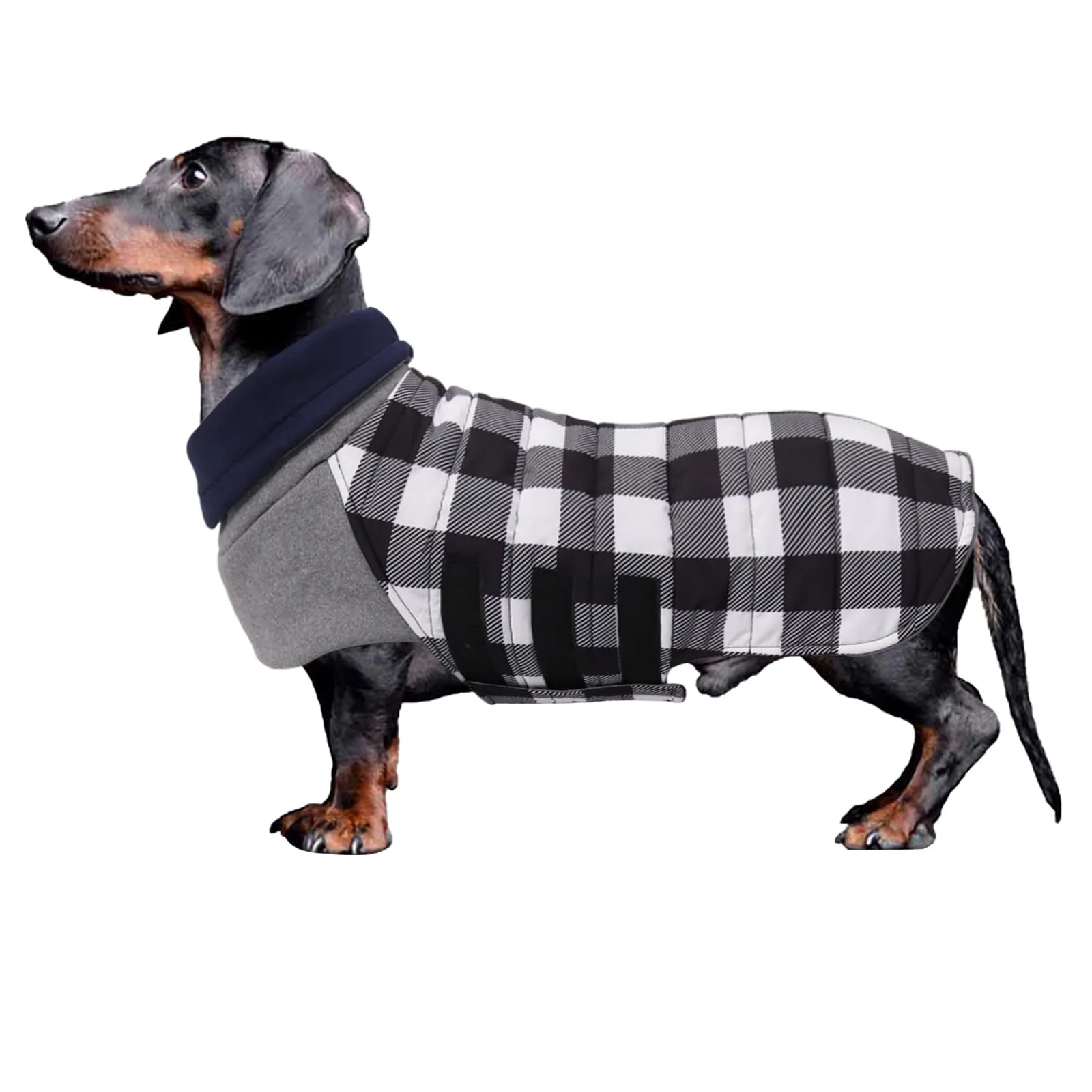 Geyecete Impermeabile Cappotto Bassotto cane,Giacca invernale per bassotto,Regolabile Caldo pullover per Cani,Collo Alto Cappotto da cucciolo,Stile Quadri Inglese-Bianco Quadri-XL - immagine 1