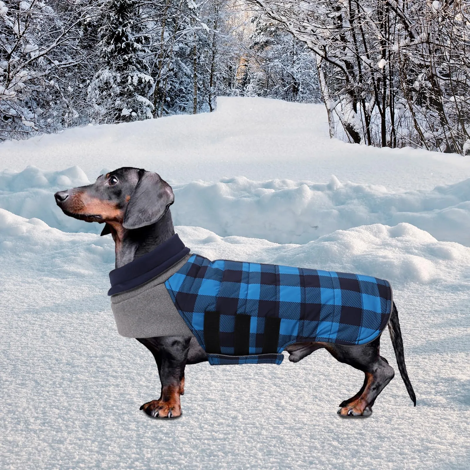 Geyecete Impermeabile Cappotto Bassotto cane,Giacca invernale per bassotto,Regolabile Caldo pullover per Cani,Collo Alto Cappotto da cucciolo,Stile Quadri Inglese-Blu Quadri-L - immagine 6