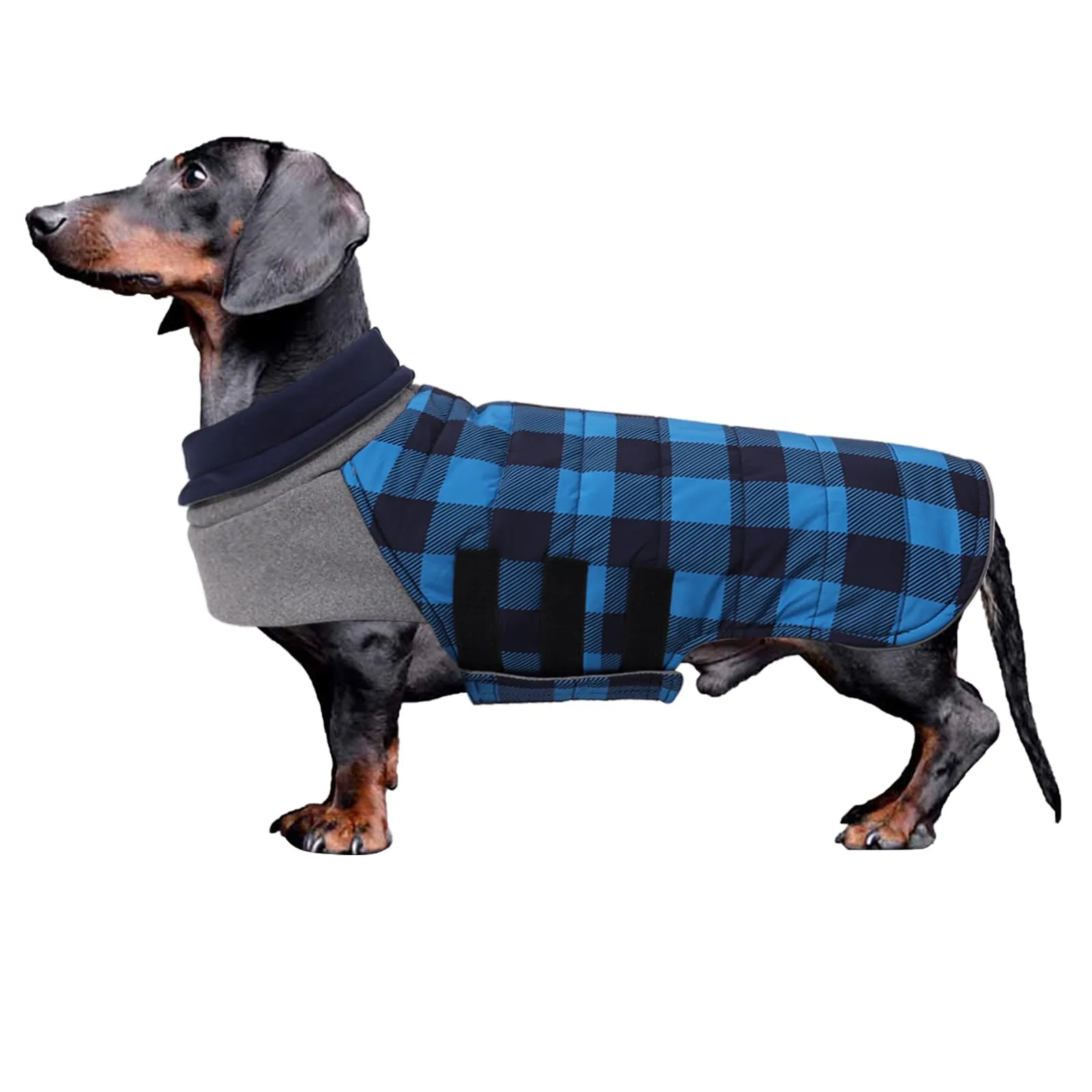 Geyecete Impermeabile Cappotto Bassotto cane,Giacca invernale per bassotto,Regolabile Caldo pullover per Cani,Collo Alto Cappotto da cucciolo,Stile Quadri Inglese-Blu Quadri-XL - immagine 1