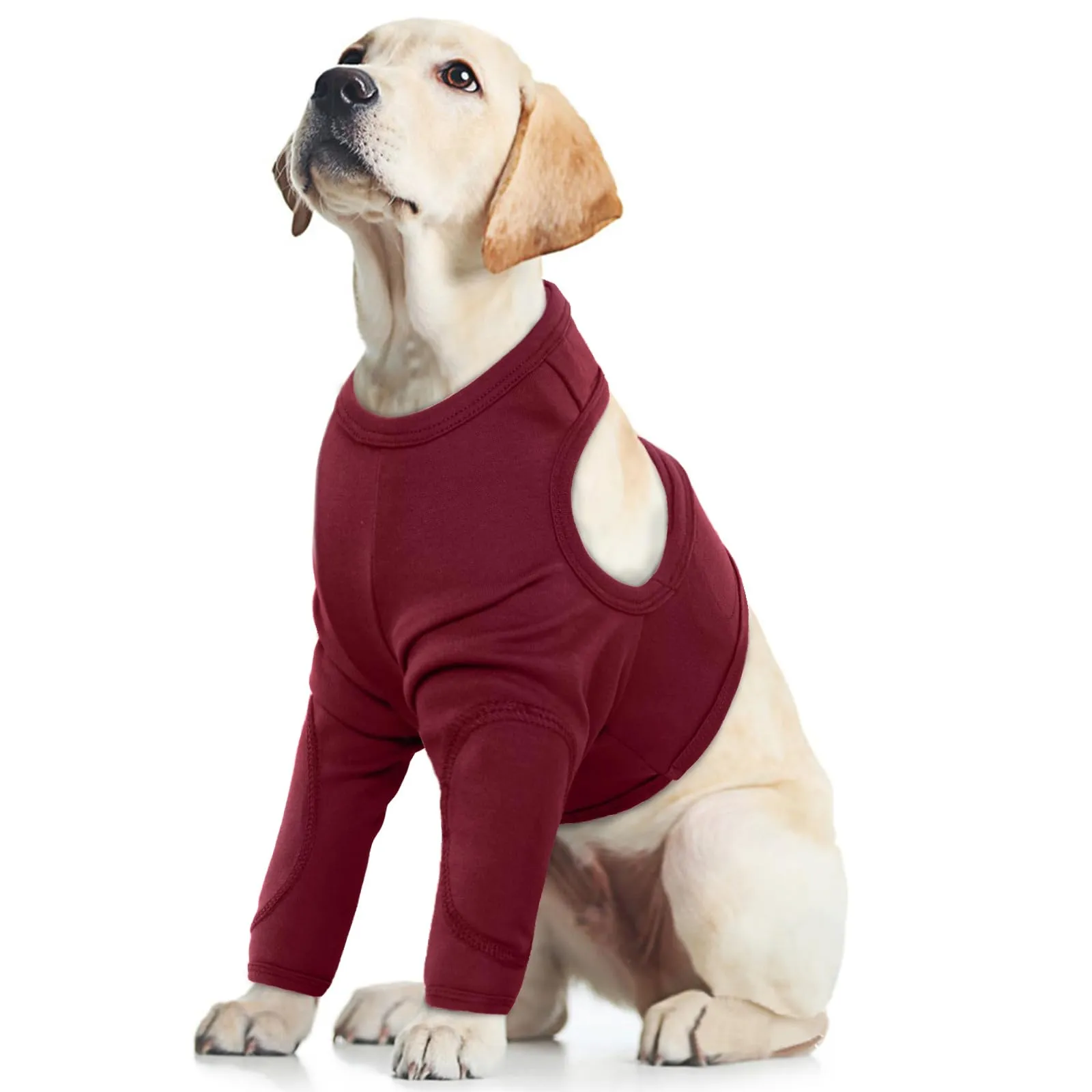 Manicotto di recupero per cani, protezione anteriore e ginocchio (rosso, L) - immagine 1