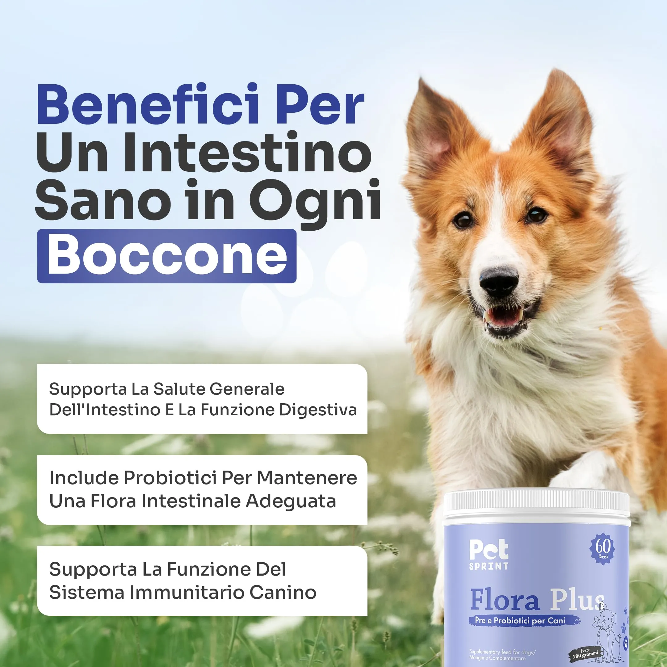 Pet Sprint Probiotici Per Cani Flora Plus - Pre e Probiotico Digestivo Per Cani, Favorisce La Digestione e Salute Intestinale - Marca Italiana - immagine 3