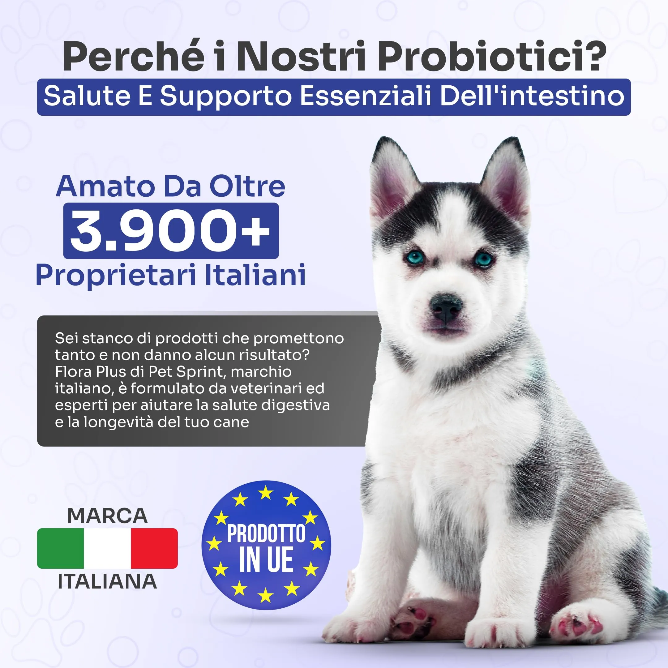 Pet Sprint Probiotici Per Cani Flora Plus - Pre e Probiotico Digestivo Per Cani, Favorisce La Digestione e Salute Intestinale - Marca Italiana - immagine 5