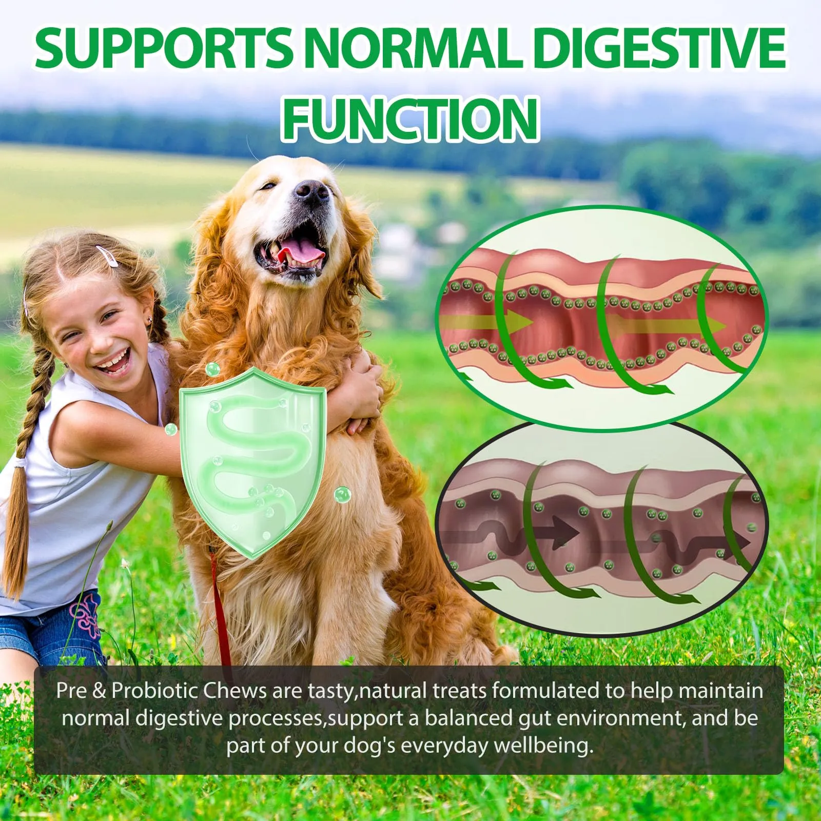 Probiotici per Cani 60 Chews Masticabili, Integratore Digestivo con Enzimi e Prebiotici, Supporto per Flora Intestinale e Digestione, Difese Immunitarie e Pelo, Gusto Anatra - immagine 4