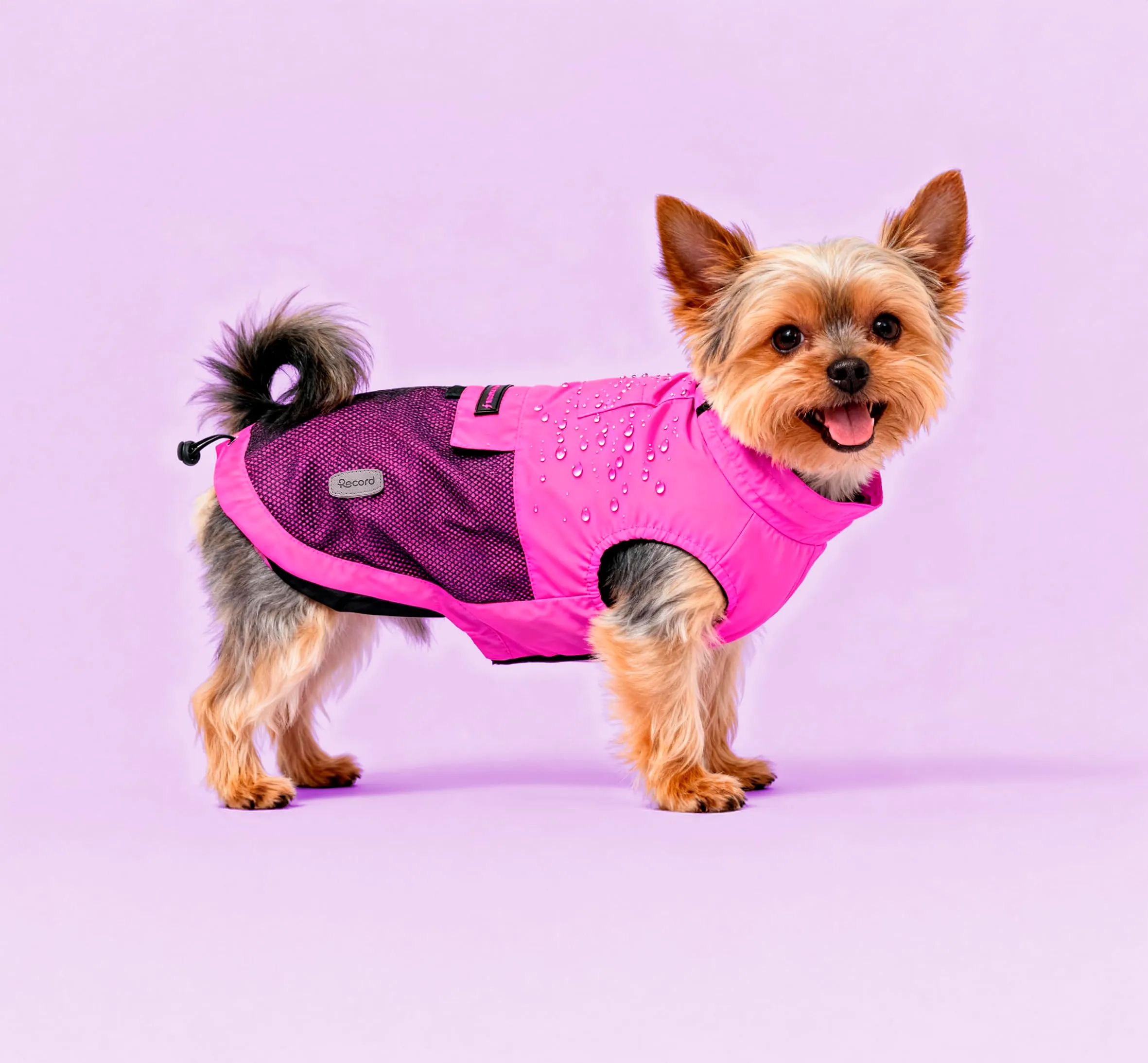 Record - Cappottino Impermeabile Antivento per Cani Confortevole, con Elastici per Zampe e Aderenza Collo Regolabili | M, Fucsia, Lunghezza dorso 40 cm - immagine 5