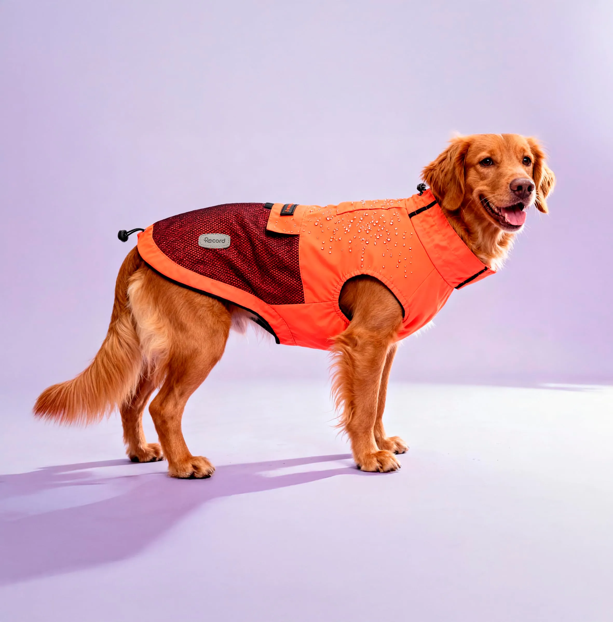 Record - Cappottino Impermeabile Antivento per Cani Confortevole, con Elastici per Zampe e Aderenza Collo Regolabili | 3XL, Arancione, Lunghezza dorso 60 cm - immagine 5