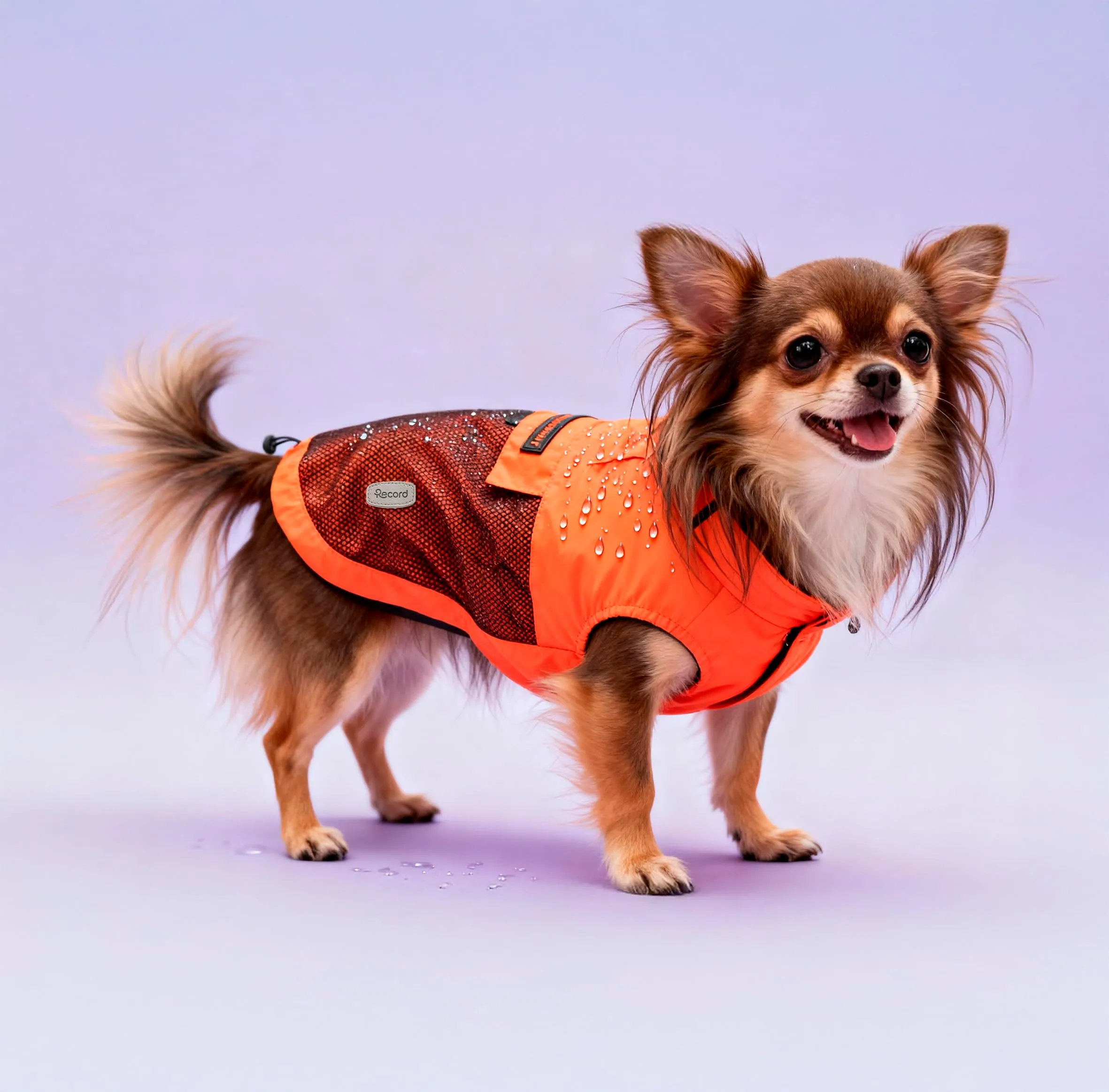 Record - Cappottino Impermeabile Antivento per Cani Confortevole, con Elastici per Zampe e Aderenza Collo Regolabili |XS, Arancione, Lunghezza dorso 30 cm - immagine 5
