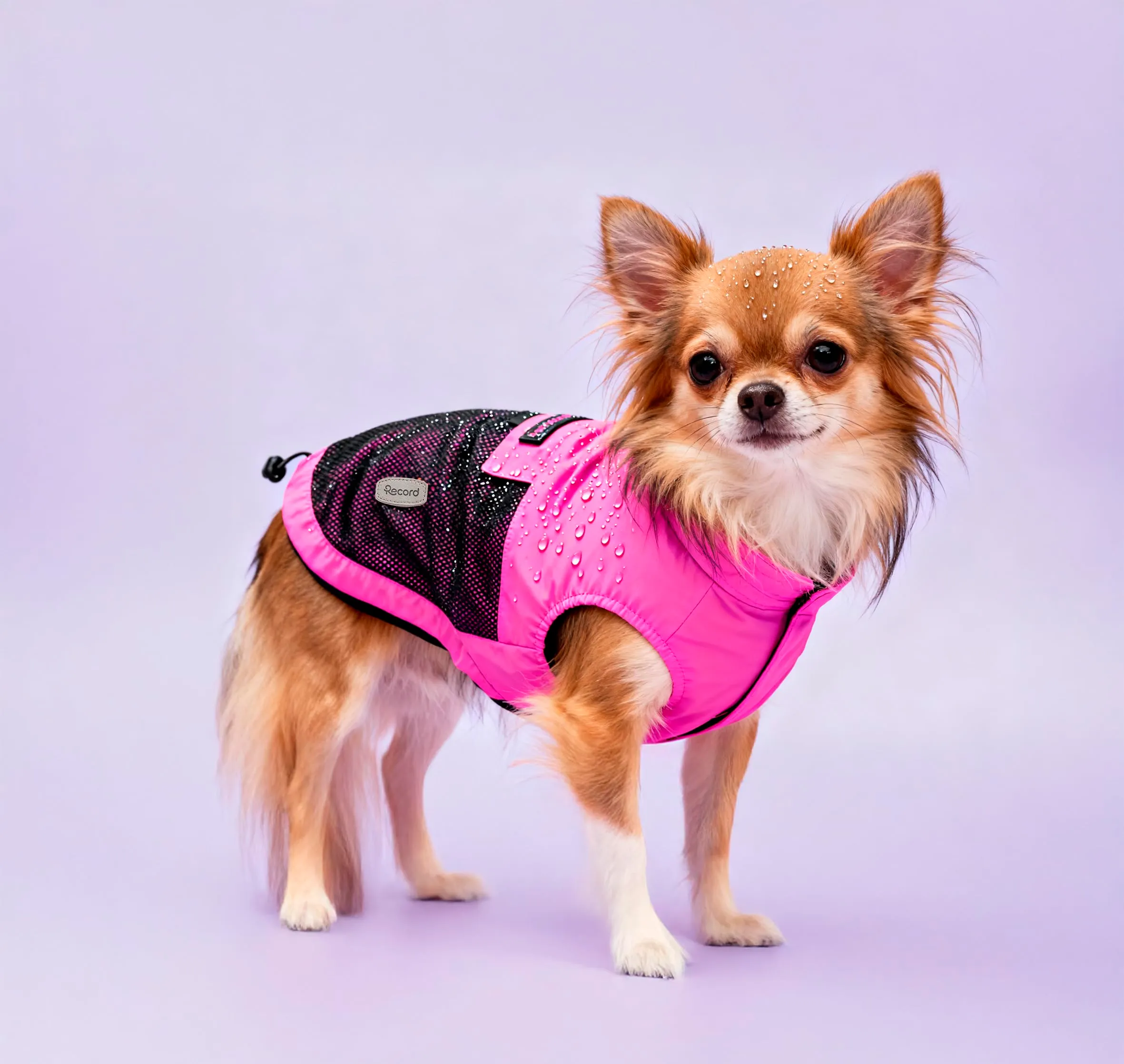 Record - Cappottino Impermeabile Antivento per Cani Confortevole, con Elastici per Zampe e Aderenza Collo Regolabili |S, Fucsia, Lunghezza dorso 35 cm - immagine 5