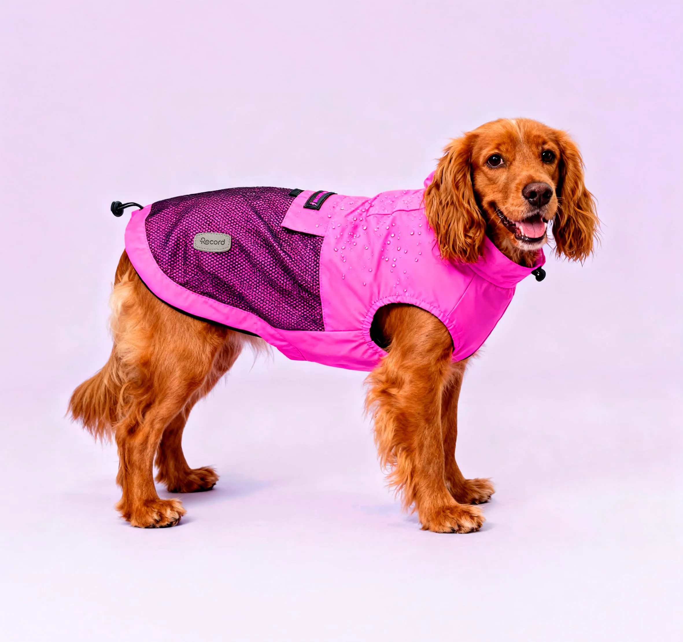 Record - Cappottino Impermeabile Antivento per Cani Confortevole, con Elastici per Zampe e Aderenza Collo Regolabili |3XL, Fucsia, Lunghezza dorso 60 cm - immagine 5