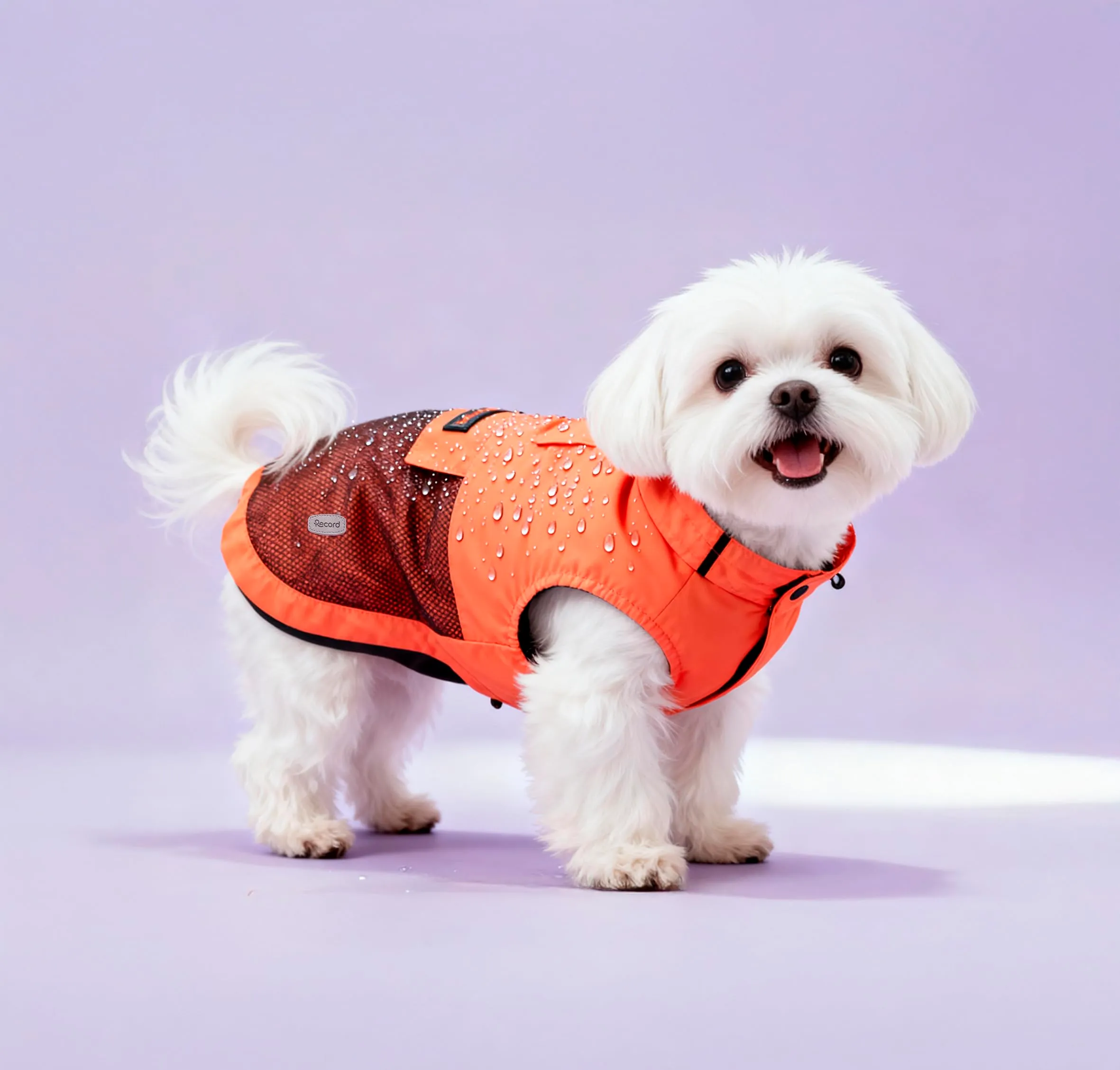 Record - Cappottino Impermeabile Antivento per Cani Confortevole, con Elastici per Zampe e Aderenza Collo Regolabili | M, Arancione, Lunghezza dorso 40 cm - immagine 5