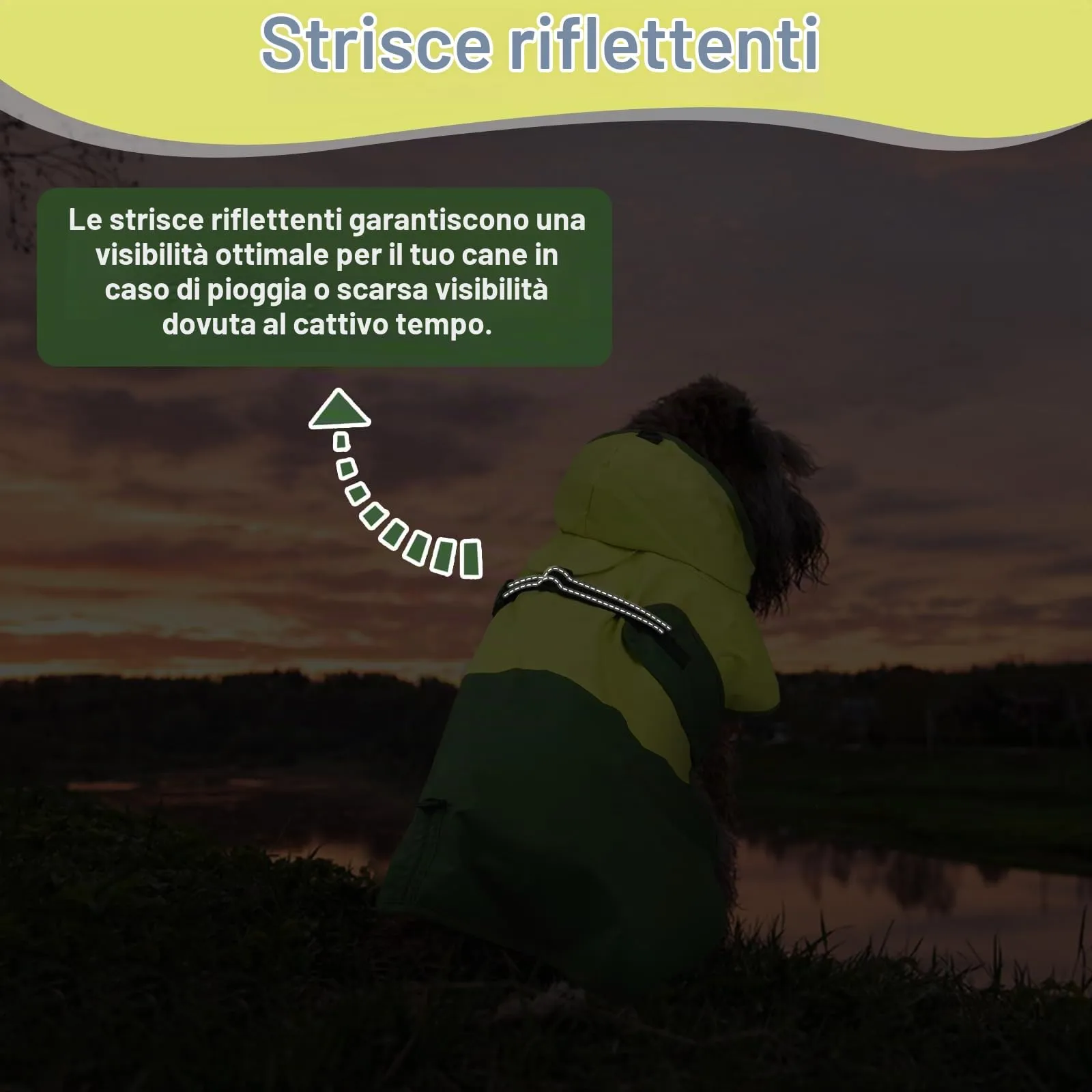 Impermeabile per Cani Taglia Media, Giacca Antipioggia Capottino Poncho Coperta Impermeabile Cani Mantellina Antivento Pioggia Impermeabile Riflettente con Cappuccio(Verde, M) - immagine 6