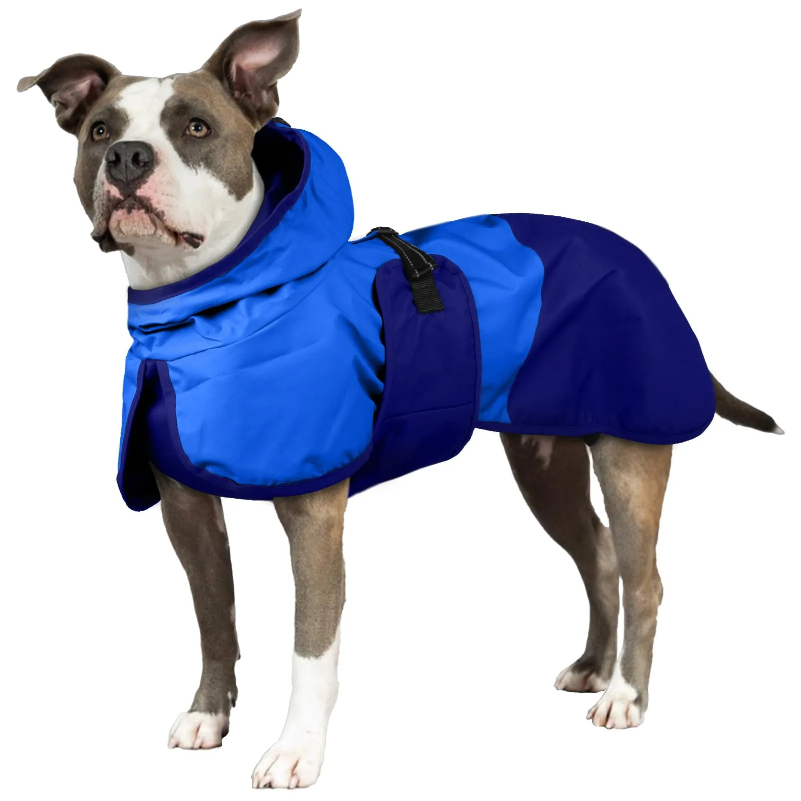 Impermeabile Cane Taglia Grande, Giacca Impermeabile Mantella Antipioggia Cani Leggera Vestito Impermeabile Catarifrangente con Apertura per Guinzaglio(Blu, 3XL) - immagine 1