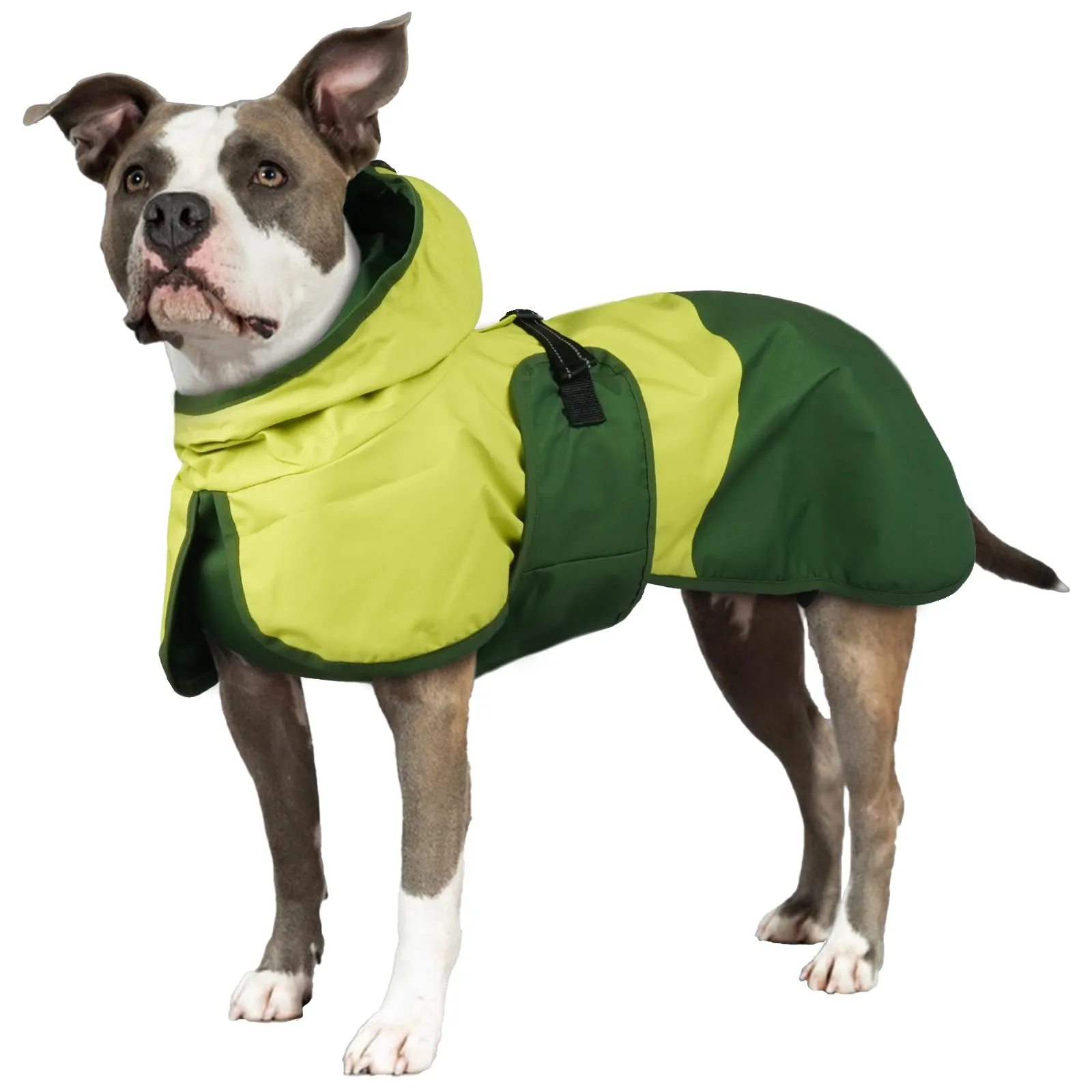 Impermeabile Cane Taglia Grande, Giacca Impermeabile Mantella Antipioggia Cani Leggera Vestito Impermeabile Catarifrangente con Apertura per Guinzaglio(Verde, 2XL) - immagine 1