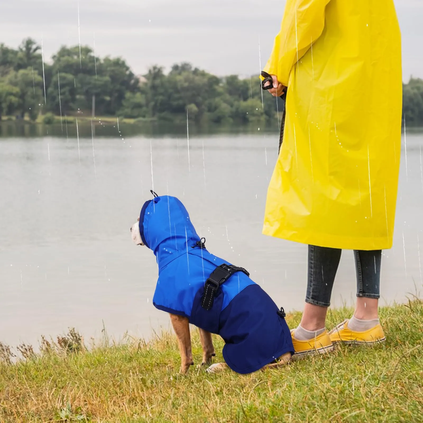 Impermeabile per Cani con Cappuccio, Poncho Impermeabile Mantella Pioggia Giacca Antipioggia Cani Felpa Impermeabile con Strisce Riflettenti(Blu, L) - immagine 7