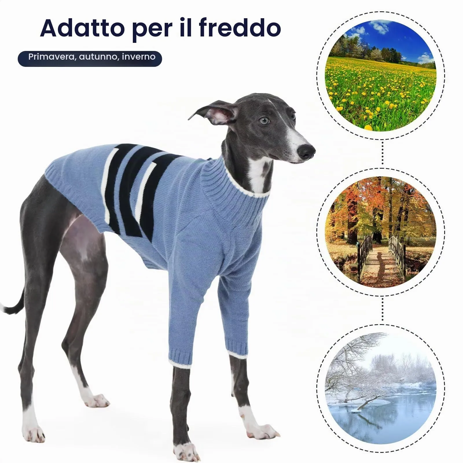 IECOii Maglione Whippet con copertura per la testa, maglione in pile per levrieri, maglione a collo alto per cani in pile, vestiti per cani Whippet a due zampe, calda felpa per levrieri italiani - immagine 8