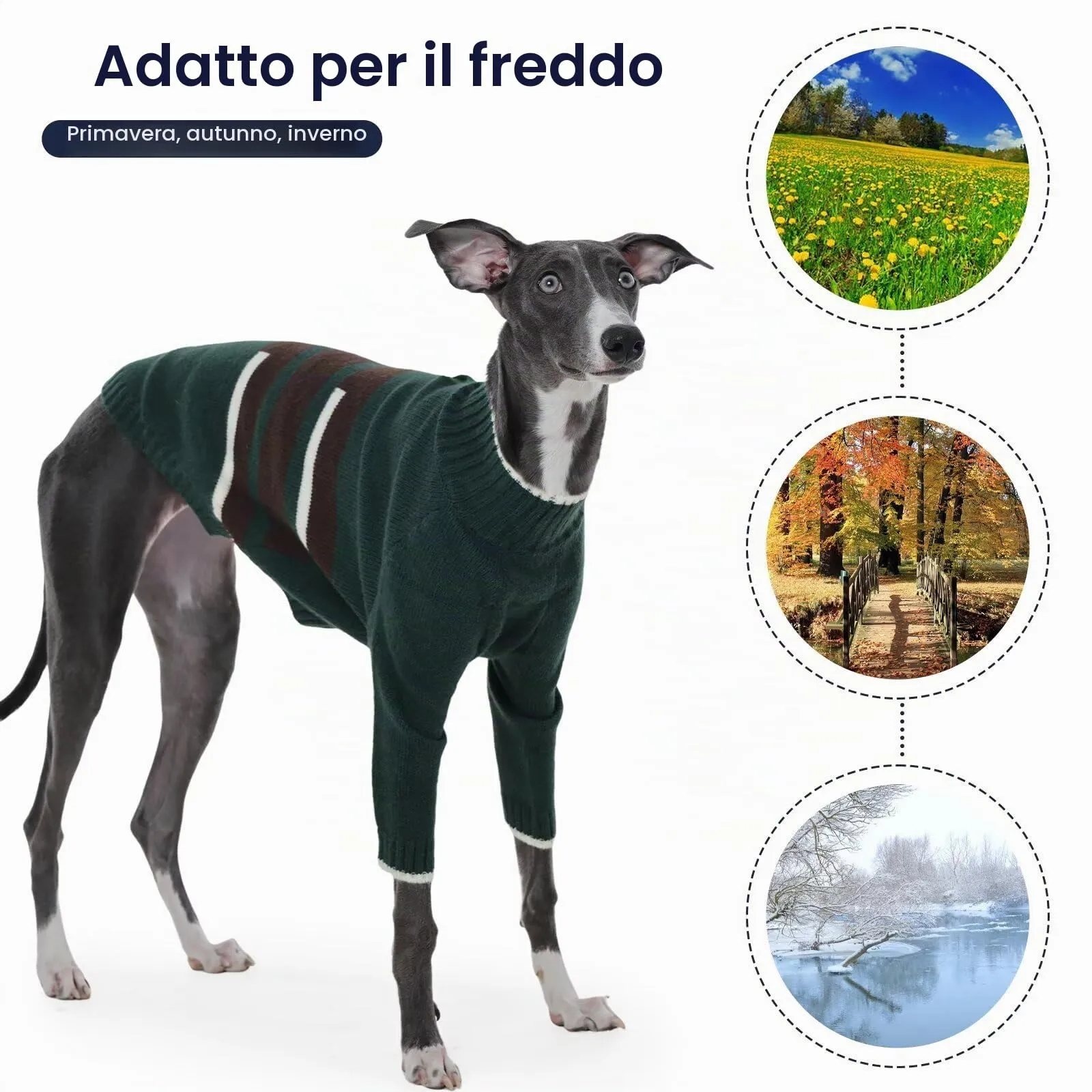IECOii Abbigliamento per Levrieri con Copertura Calmante per la Testa, Caldi Maglioni per Cani a Maniche Lunghe, Cappotto Termico a Collo Alto per Levrieri, Maglione per Levrieri con Gambe, Felpa per - immagine 7