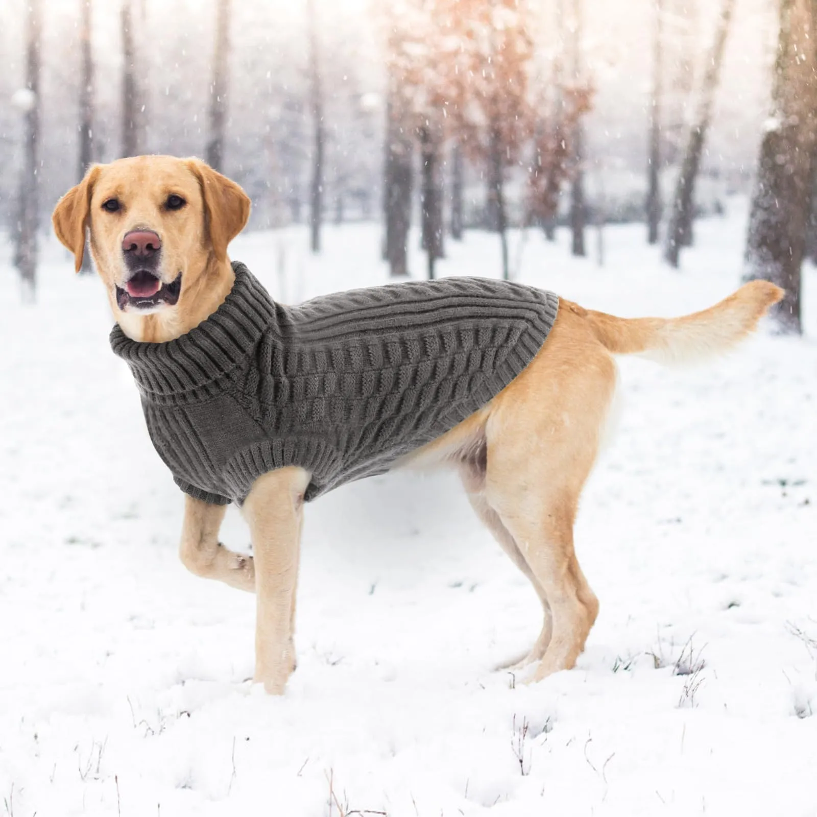 CITÉTOILE Maglione in Lana per Cani e Gatti Per Il Freddo Grigio S - immagine 6
