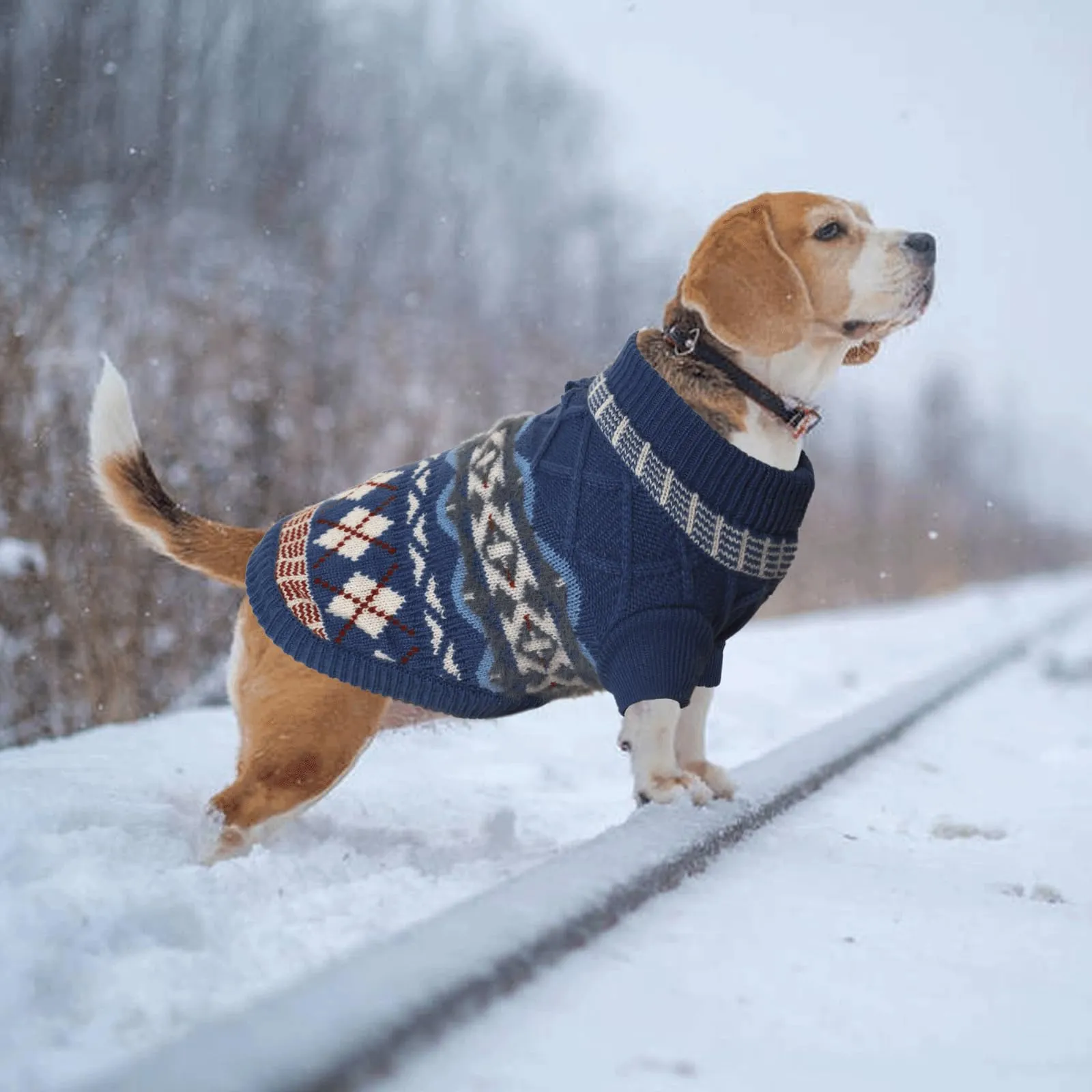 LiebeDD Maglione Cane e Gatto, Bohé Maglioncini Cani, Termica Maglia, Maglioncino Cane Taglia Piccola e Media per Barboncino Toy, Chihuahua, Bulldog Francese, Bassotto (Blu, XS) - immagine 6
