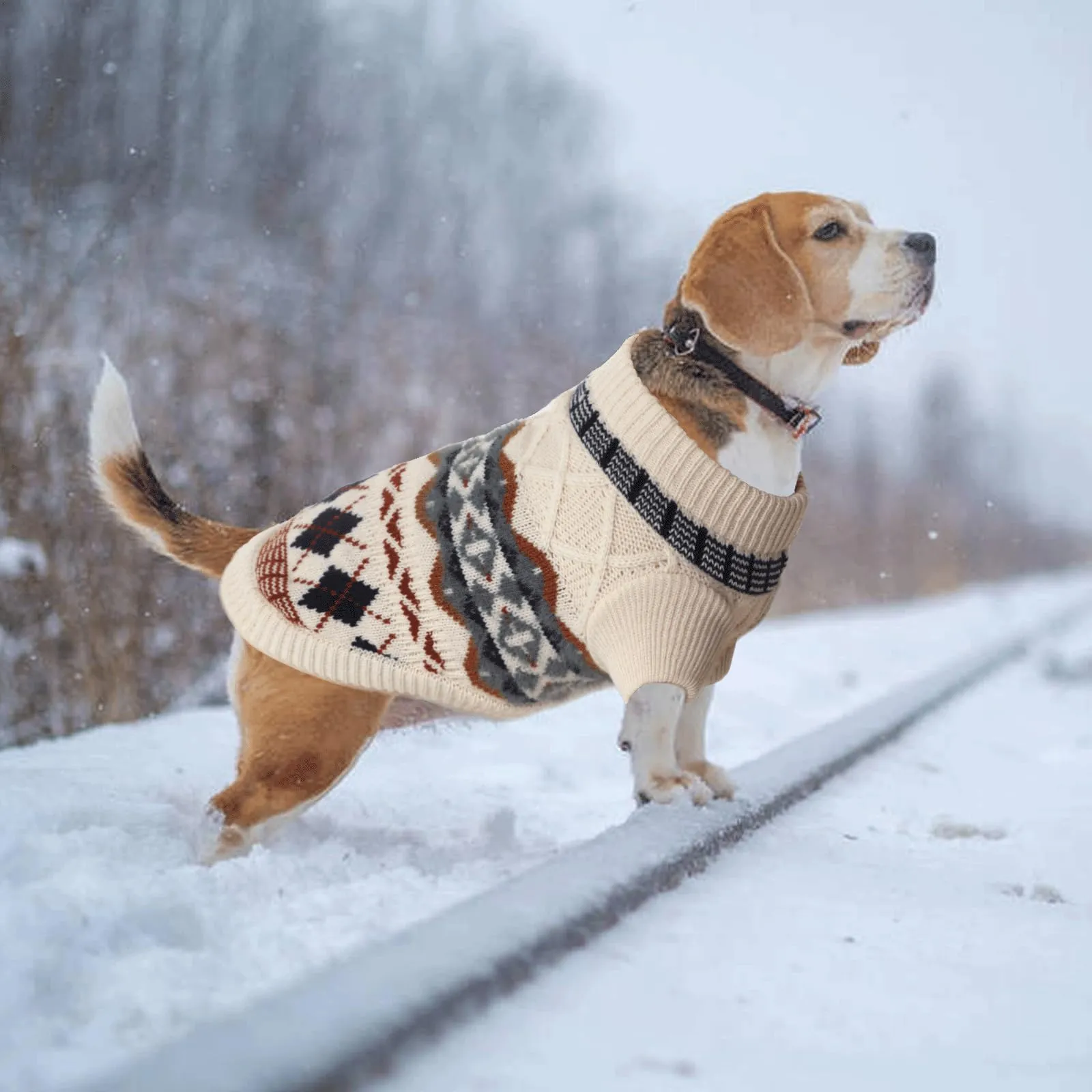 LiebeDD Maglione Cane e Gatto, Bohé Maglioncini Cani, Termica Maglia, Maglioncino Cane Taglia Piccola e Media per Barboncino Toy, Chihuahua, Bulldog Francese, Bassotto (Beige, M) - immagine 6