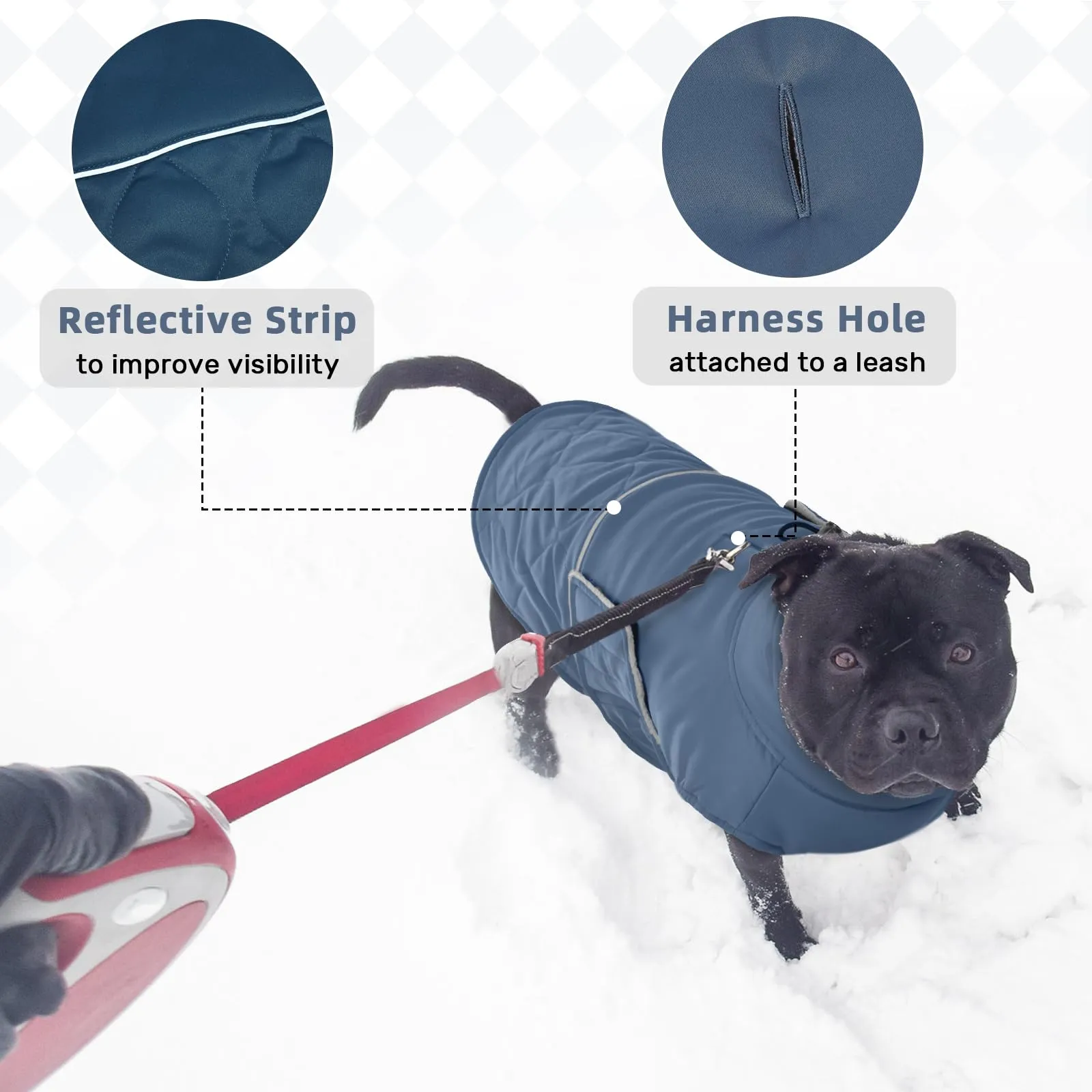 Hjumarayan Cappottino Cane Taglia Piccola - Imbottito Cappotti per Cani Invernali Giubbotto, Cappotto Pile Piumini per Cani Piccola Taglia, Blu-grigio S - immagine 5