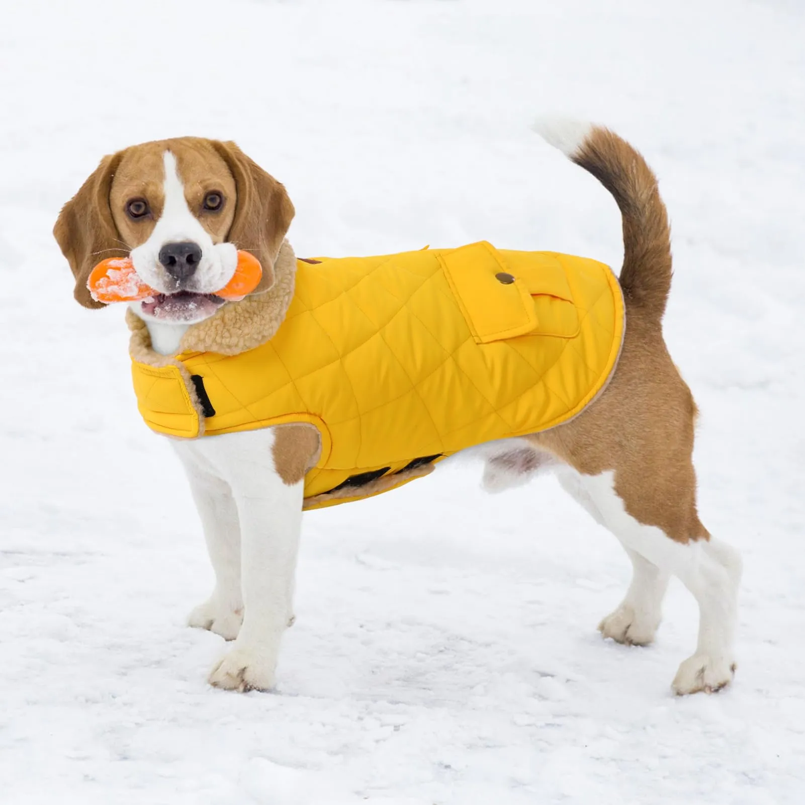 CITÉTOILE Gilet Termico Invernale per Cani in Lana Spessa Giallo M - immagine 6
