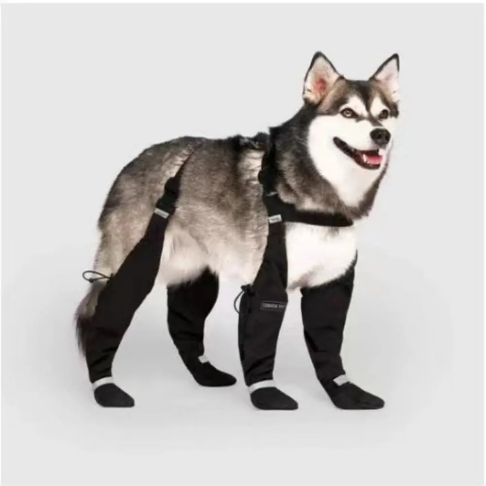 BLOSSOMLIFE Stivali per cani con bretelle, stivali impermeabili per cani di grandi dimensioni, suola in gomma, pantaloni da neve, protezioni per zampe, stivali da neve riflettenti antiscivolo (XS) - immagine 2