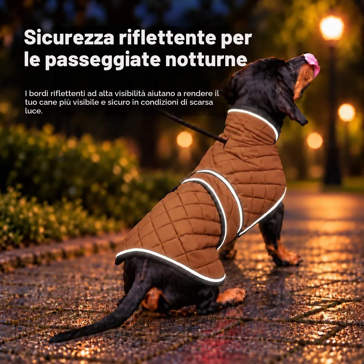Giacca bassotto MOREZI, foderata in pile, con cintura regolabile e bande riflettenti, migliora la visibilità notturna ed è facile da indossare e da togliere-Marrone-XS - immagine 4