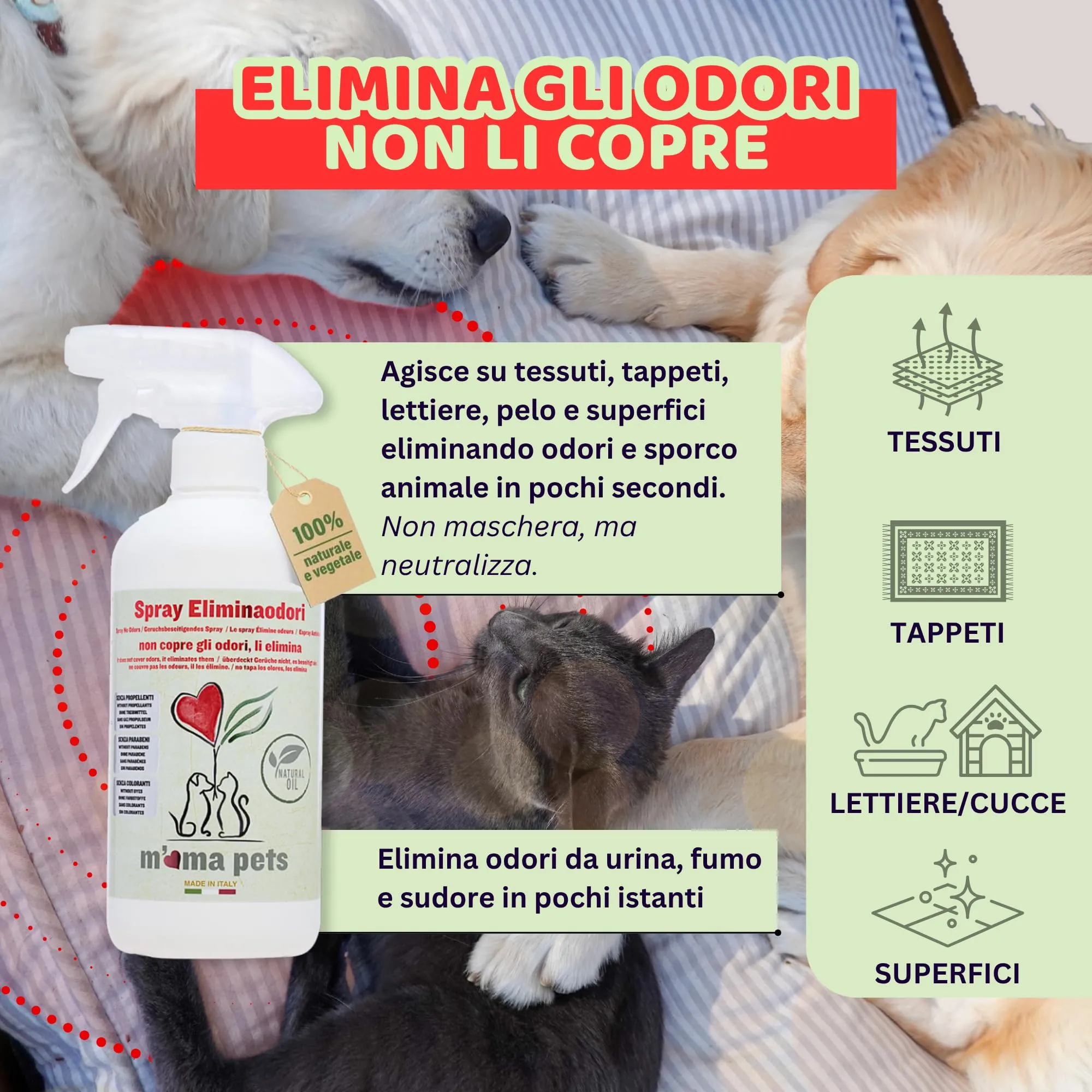 M' MA PETS - Elimina Odori dai Tessuti - Spray Naturale per Cani e Gatti, Made in Italy - Deodorante Sicuro No Alcool per Animali e Persone - Azione Rapida Superfici e Profumazione Floreale Ambienti - immagine 3