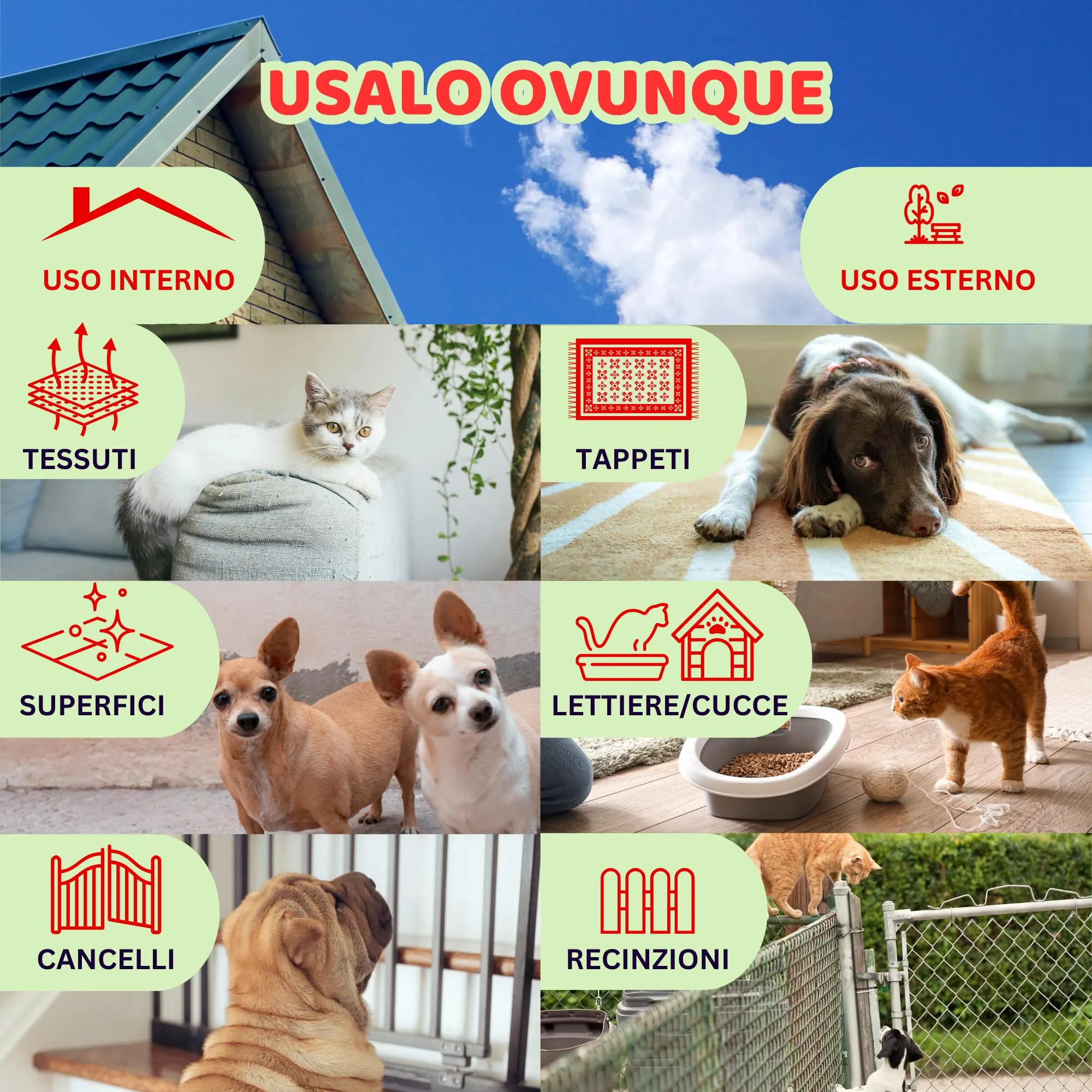 M' MA PETS - Elimina Odori dai Tessuti - Spray Naturale per Cani e Gatti, Made in Italy - Deodorante Sicuro No Alcool per Animali e Persone - Azione Rapida Superfici e Profumazione Floreale Ambienti - immagine 6