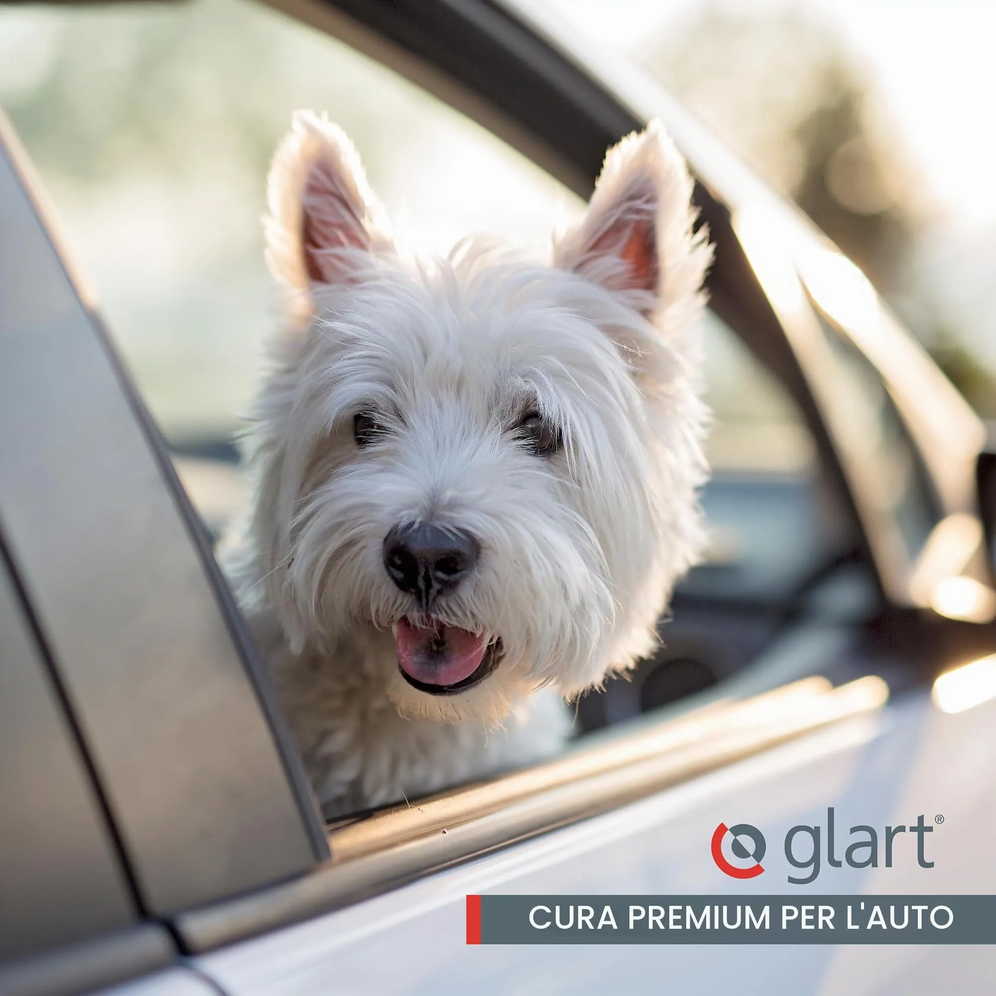 Glart 44THB Spazzola per Cani, per Peli di Animali, Rimuove Peli di Animali e Sporco da Tutti i Sedili, Tappezzeria, Grigio (Anthracite) - immagine 7