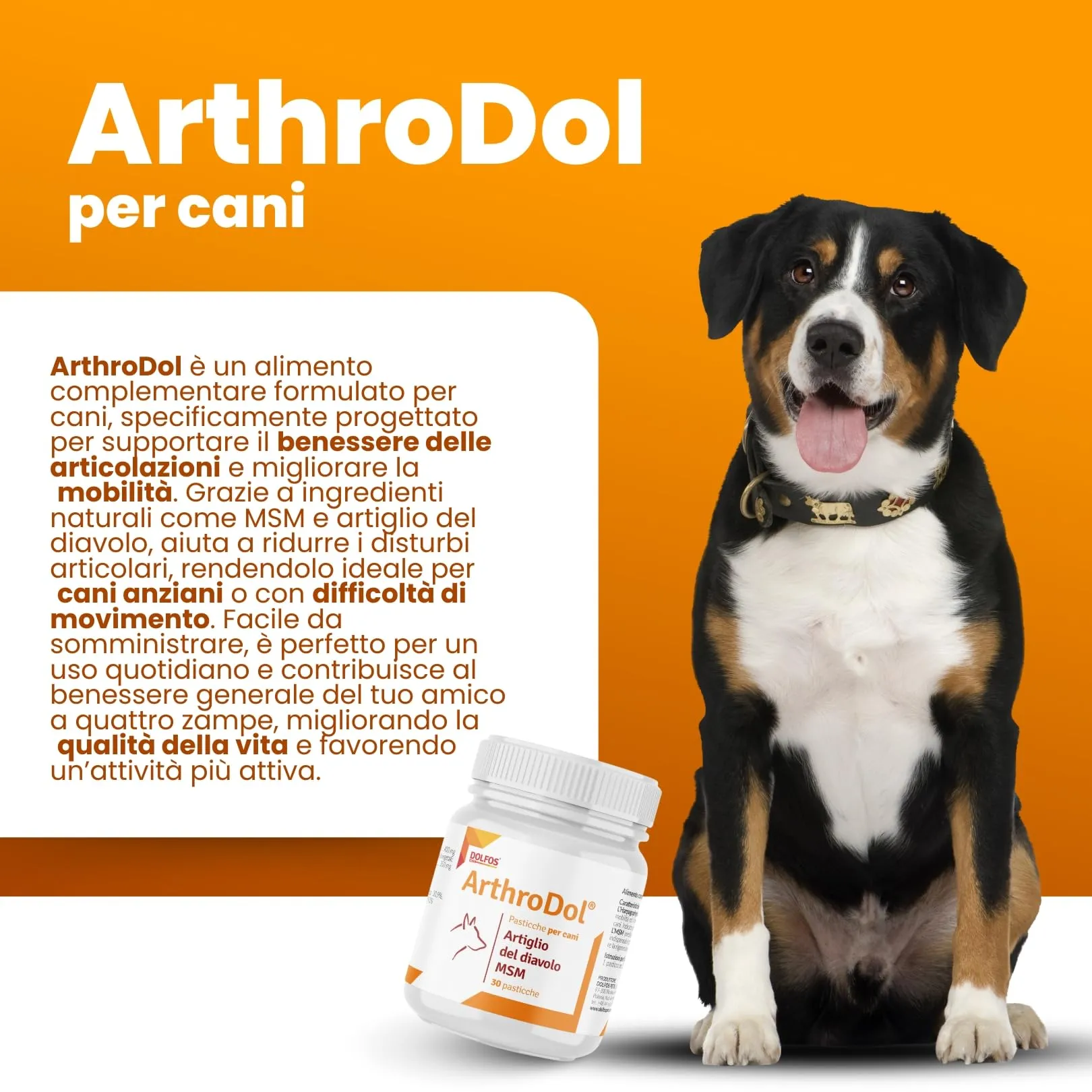 PETS Dolfos ArthroDol 30 CPR - Integratore Articolazioni Cane - Joint Care Analgesico Favorisce la Mobilità dei Cani - Integratori articolazioni Cani 100% Naturale - con Artiglio del Diavolo e Msm - immagine 3