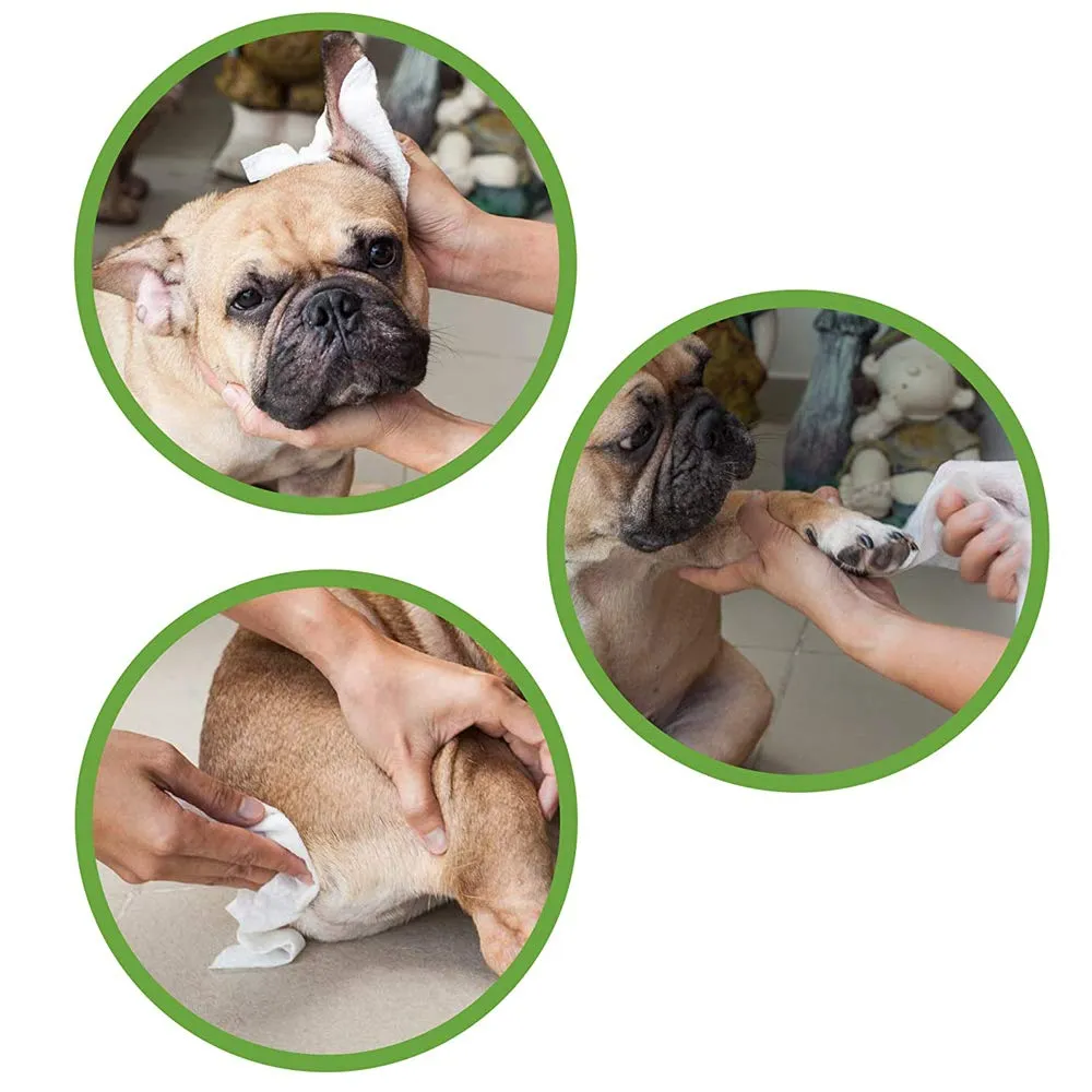 Croci - Salviette Umidificate Cane e Gatto, profumo Talco e Fiori, 30 pezzi - immagine 3