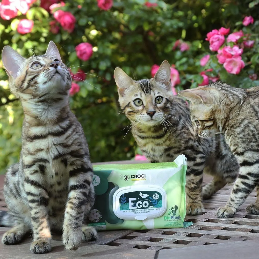 Croci - Salviette Umidificate Cane e Gatto, profumo Talco e Fiori, 30 pezzi - immagine 4
