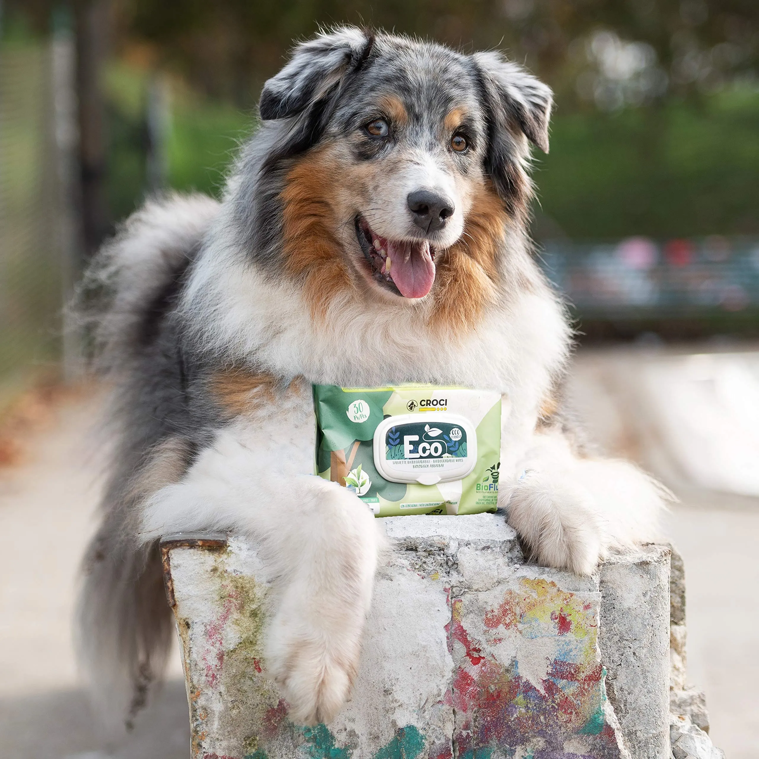 Croci - Salviette Umidificate Cane e Gatto, profumo Talco e Fiori, 30 pezzi - immagine 7