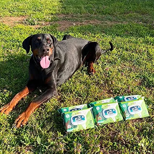 Croci - Salviette Umidificate Cane e Gatto, profumo Talco e Fiori, 30 pezzi - immagine 8