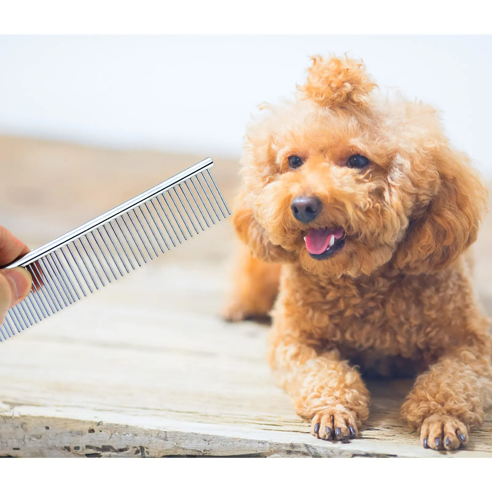 Andiker Pettine in acciaio inossidabile per cani, spazzola per la toelettatura degli animali domestici, strumenti per la cura di animali piccoli, grandi, medi, gatti, cavalli (S) - immagine 6