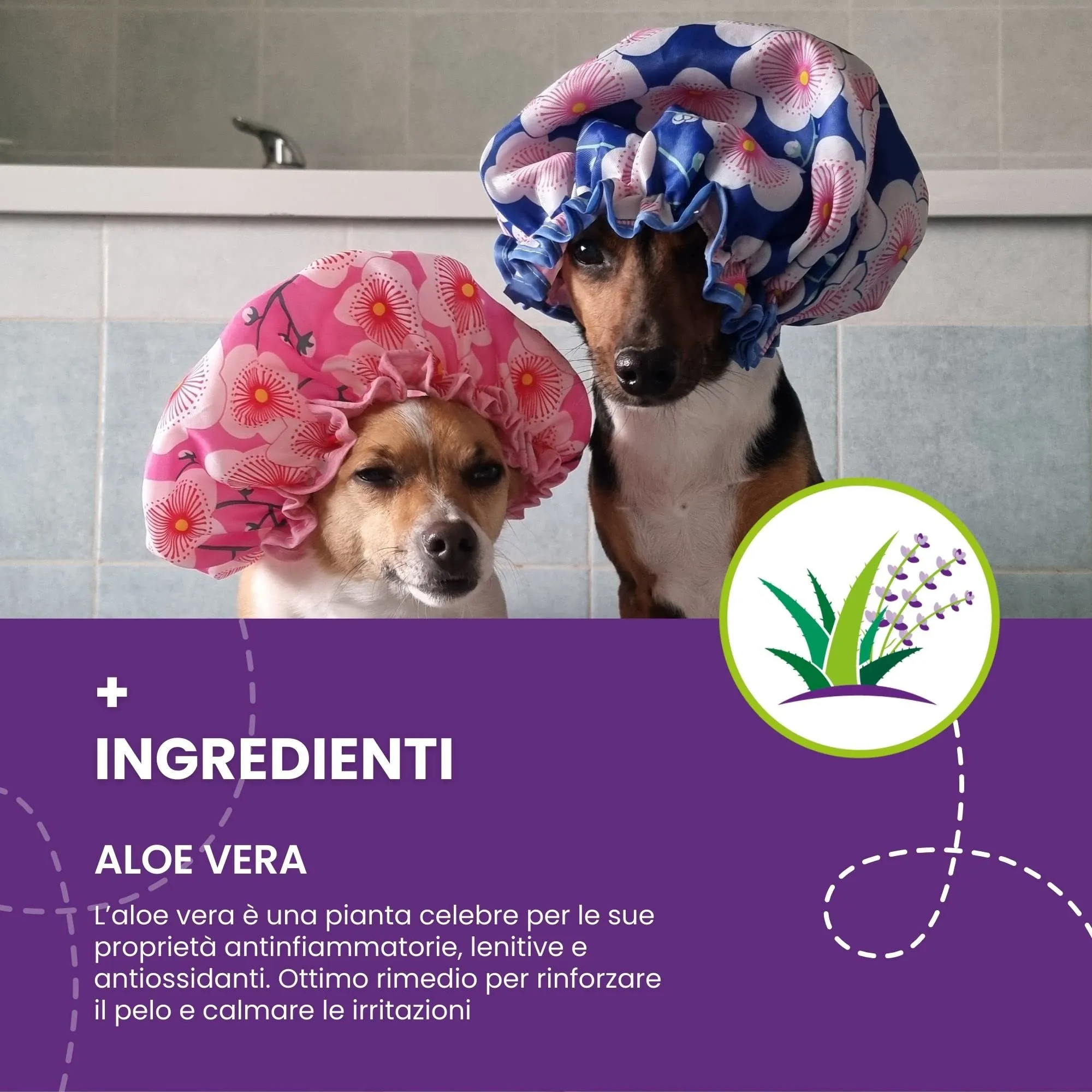 Italian Pet - Salviette Biodegradabili Aloe Vera e Lavanda - Salviette Detergenti Umidificate per Zampe, Muso e Pelo di Cani, Gatti, Conigli, Animali Domestici - 50 Salviette BIO Monouso, 15x19 cm - immagine 5