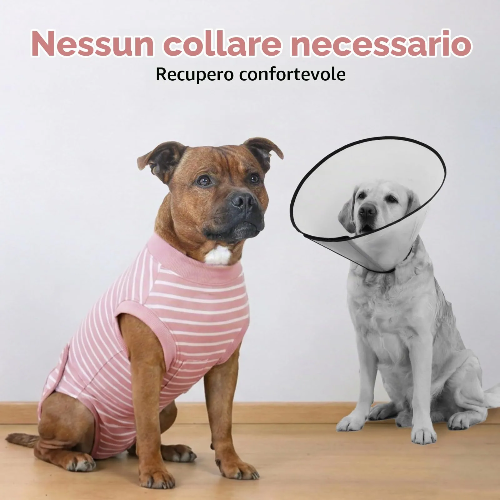 Hjumarayan Tuta Post Operatoria per Cani – Body Chirurgico Antileccamento, Alternativa al Collare Elisabettiano, Ideale Dopo Sterilizzazione e Interventi Chirurgici, Rosa L - immagine 4