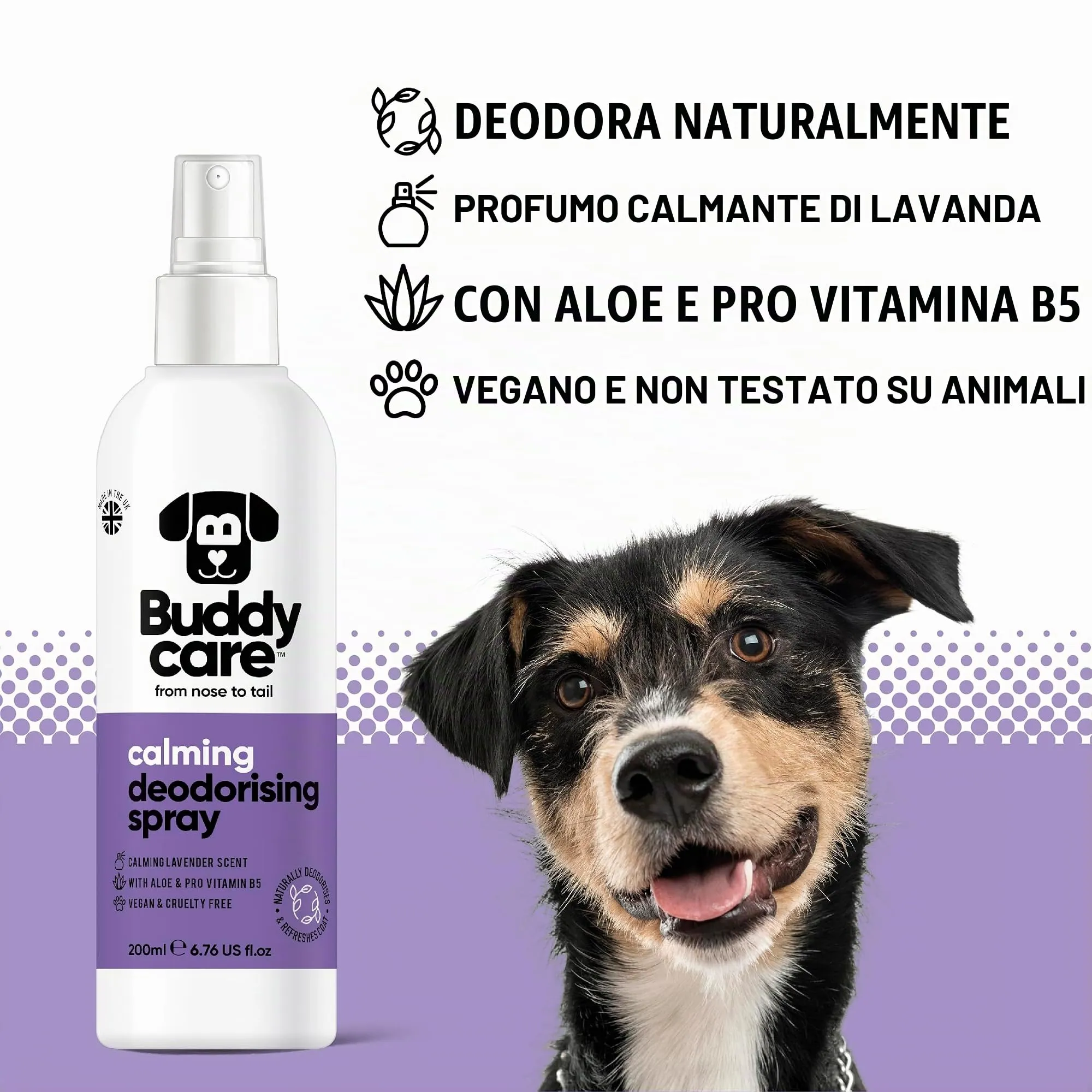 Buddycare Spray Deodorante per Cani - Spray Deodorante Calmante per Cani - Con Aloe Vera e Pro Vitamina B5, Lavanda, 200 ml (confezione da 1) - immagine 2