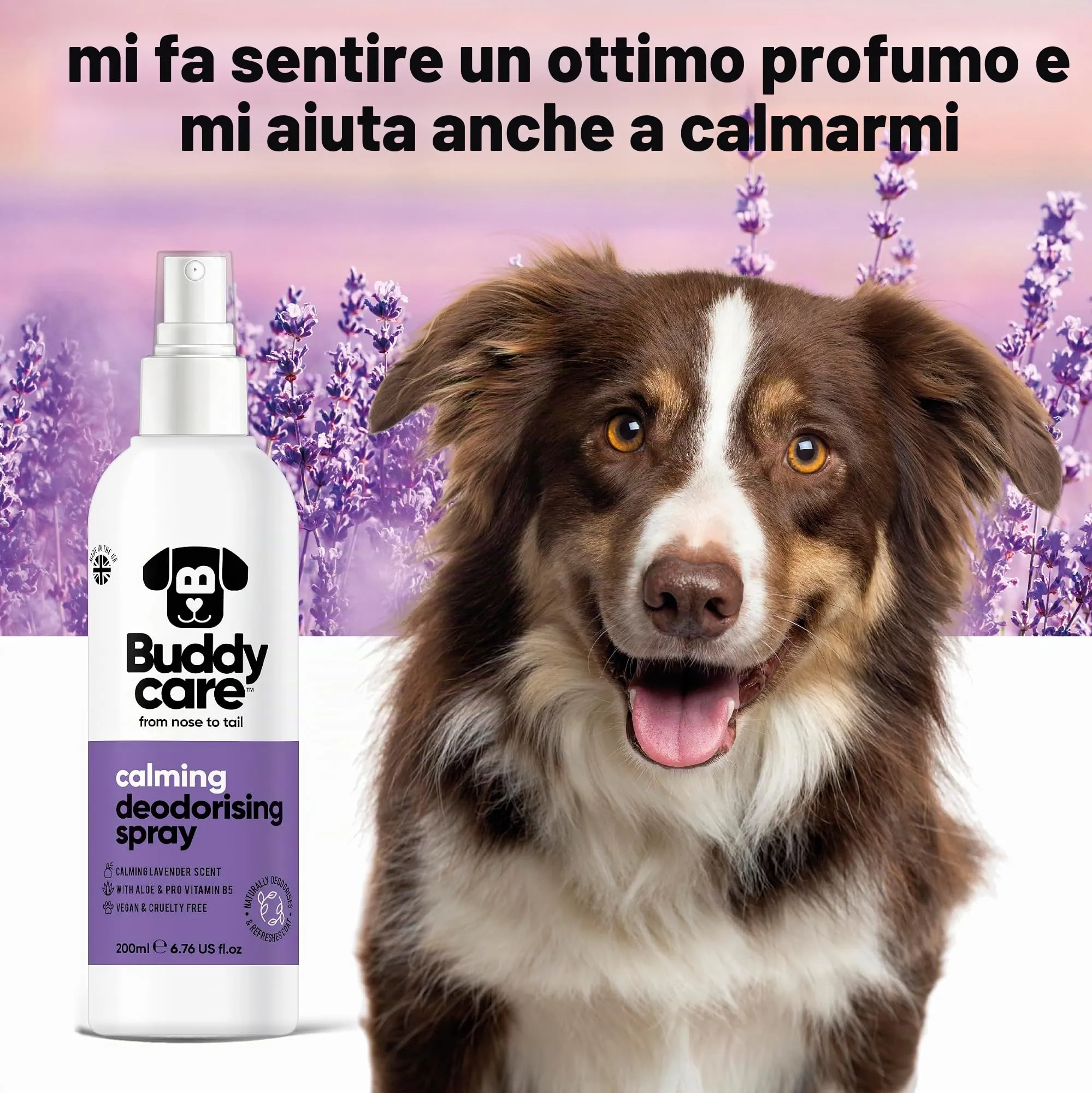 Buddycare Spray Deodorante per Cani - Spray Deodorante Calmante per Cani - Con Aloe Vera e Pro Vitamina B5, Lavanda, 200 ml (confezione da 1) - immagine 3