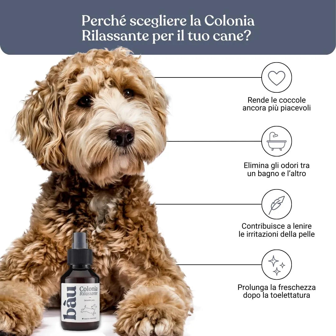 Bau Profumo per Cani Lunga Durata – Deodorante Cane Naturale con Camomilla e Bacche Rosa – Profumo per Cani Lenitivo e Rinfrescante – Spray Senza Alcol – Rilassante - immagine 3