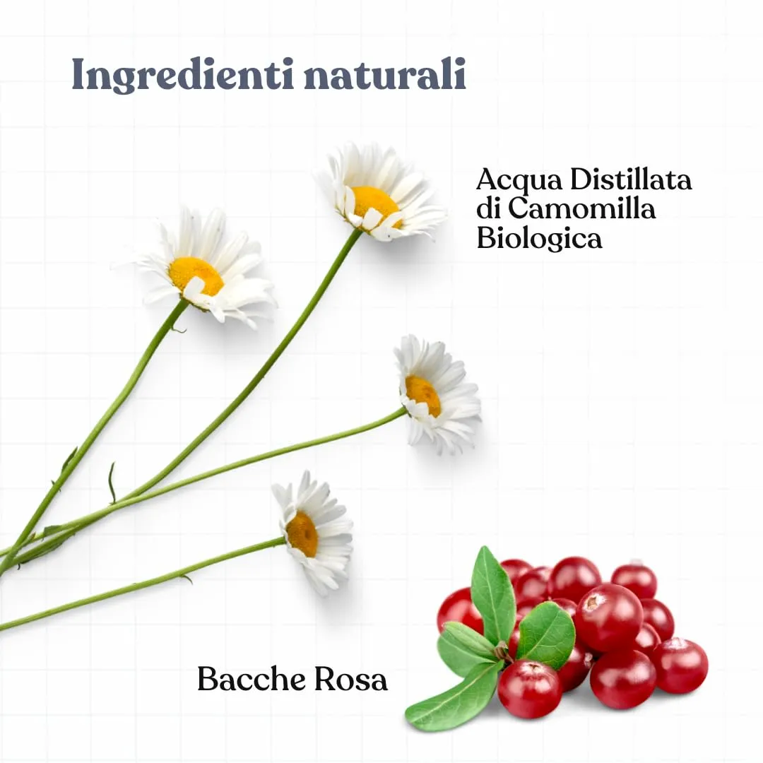 Bau Profumo per Cani Lunga Durata – Deodorante Cane Naturale con Camomilla e Bacche Rosa – Profumo per Cani Lenitivo e Rinfrescante – Spray Senza Alcol – Rilassante - immagine 4