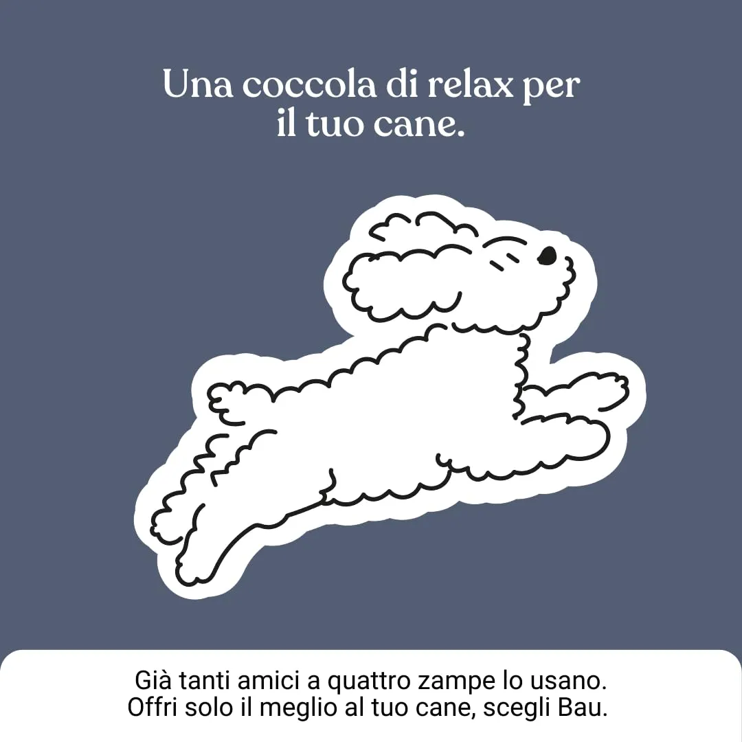 Bau Profumo per Cani Lunga Durata – Deodorante Cane Naturale con Camomilla e Bacche Rosa – Profumo per Cani Lenitivo e Rinfrescante – Spray Senza Alcol – Rilassante - immagine 9