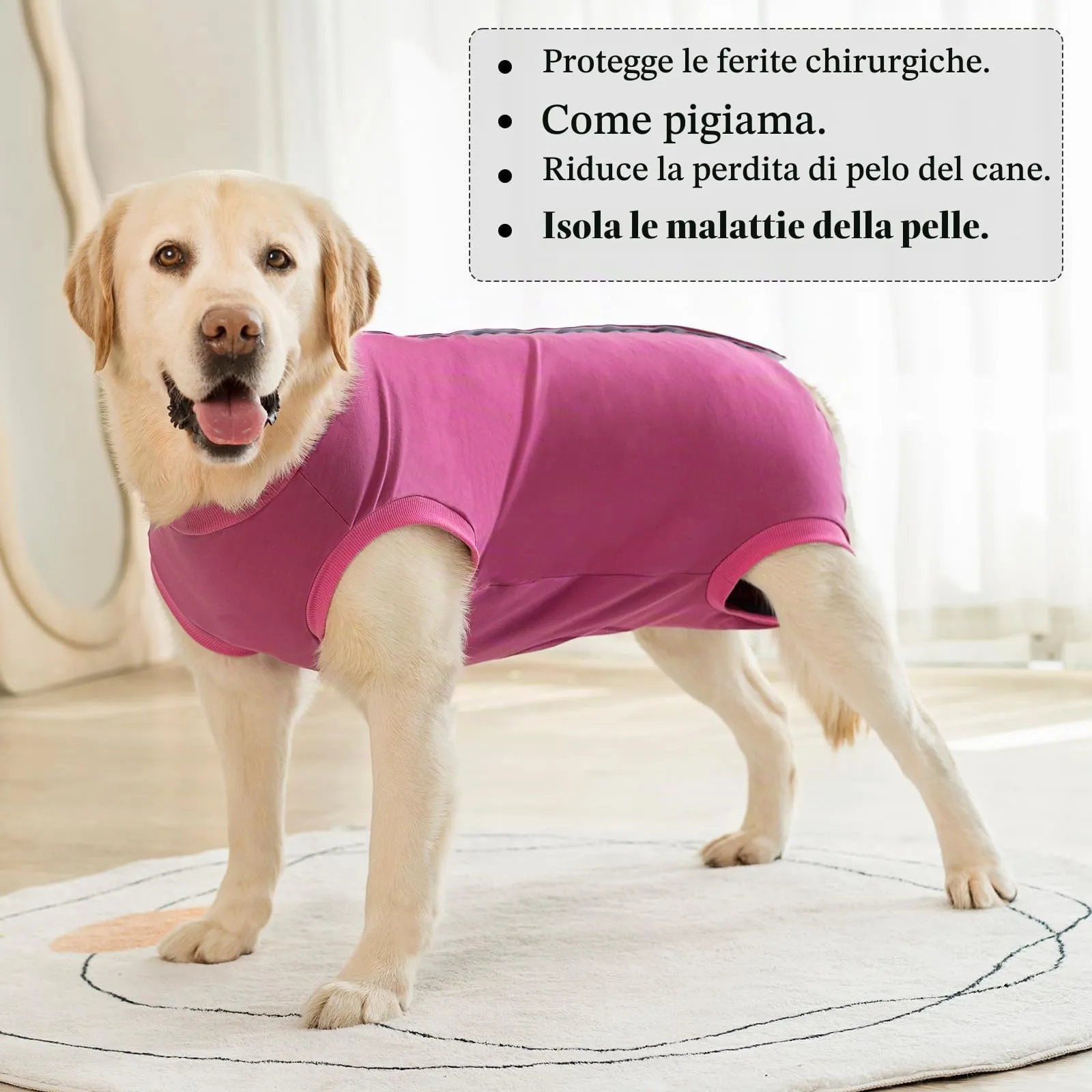 Cyponpy Body Post Operatorio Cane Femmina Maschio Tuta Pigiama Protezione Ferite per Cani Tutina Post Operatoria Cane Vestito Recupero Body per Cani dopo Sterilizzazione Chirurgico Alternative Collare - immagine 7