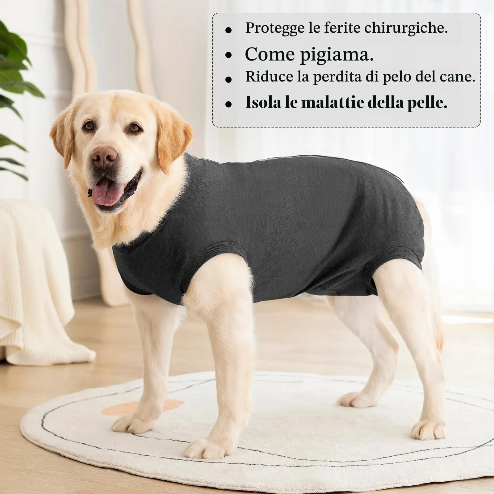 Cyponpy Body Post Operatorio Cane Femmina Maschio Tuta Pigiama Protezione Ferite per Cani Tutina Post Operatoria Cane Vestito Recupero Body per Cani dopo Sterilizzazione Chirurgico Alternative Collare - immagine 7