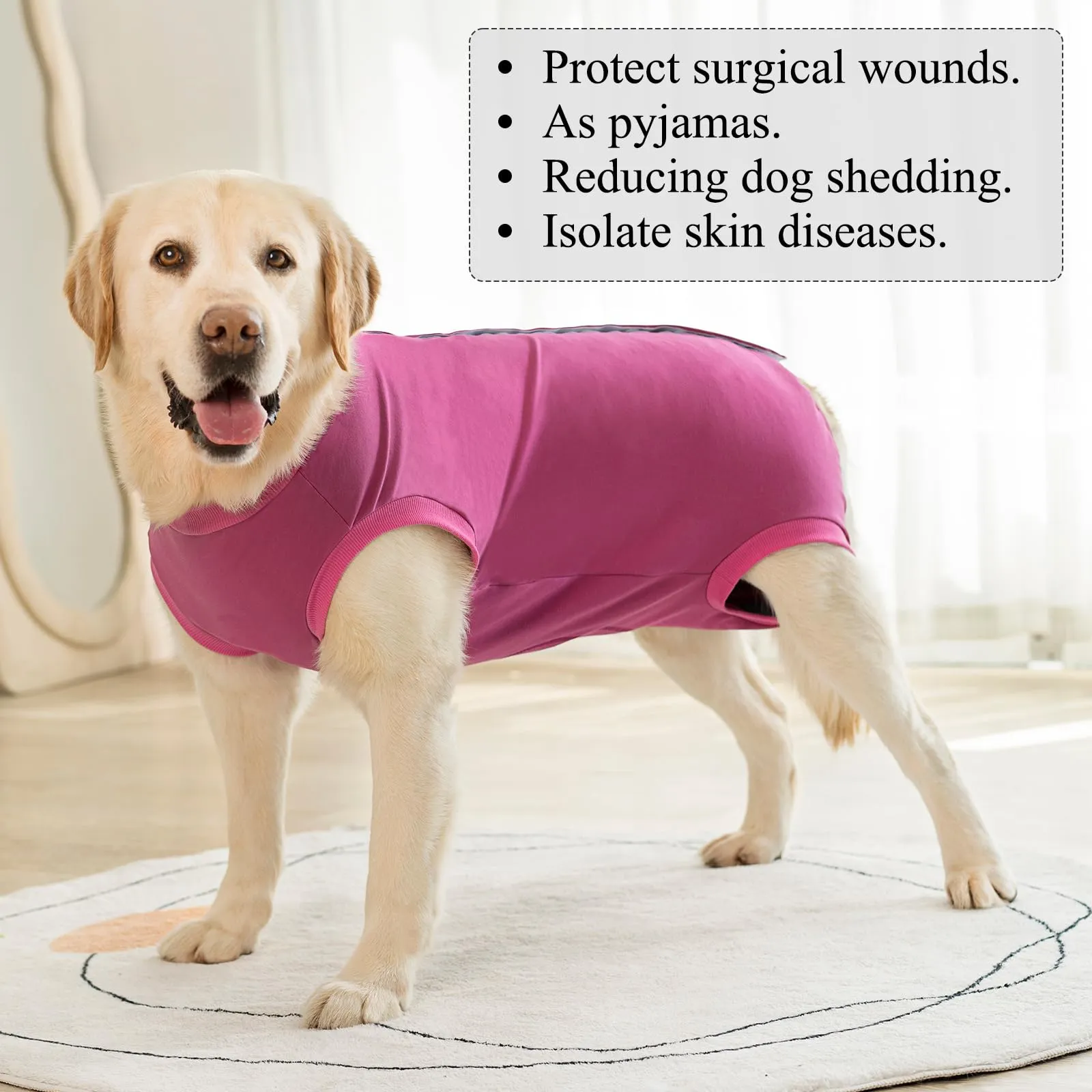 Cyponpy Body Post Operatorio Cane Femmina Maschio Tuta Pigiama Protezione Ferite per Cani Tutina Post Operatoria Cane Vestito Recupero Body per Cani dopo Sterilizzazione Chirurgico Alternative Collare - immagine 7