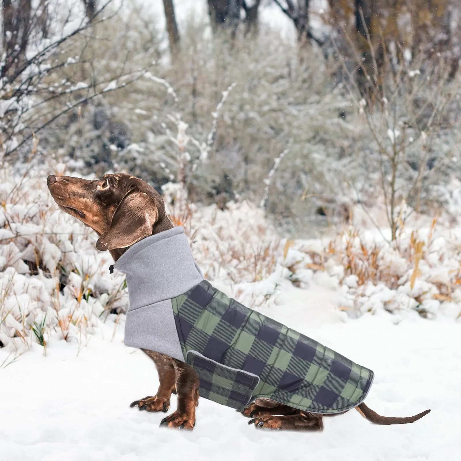 Geyecete Impermeabile Cappotto Bassotto cane,Giacca invernale per bassotto,Regolabile Caldo pullover per Cani,Collo Alto Cappotto da cucciolo,Stile Quadri Inglese-Verde Quadri-L - immagine 6